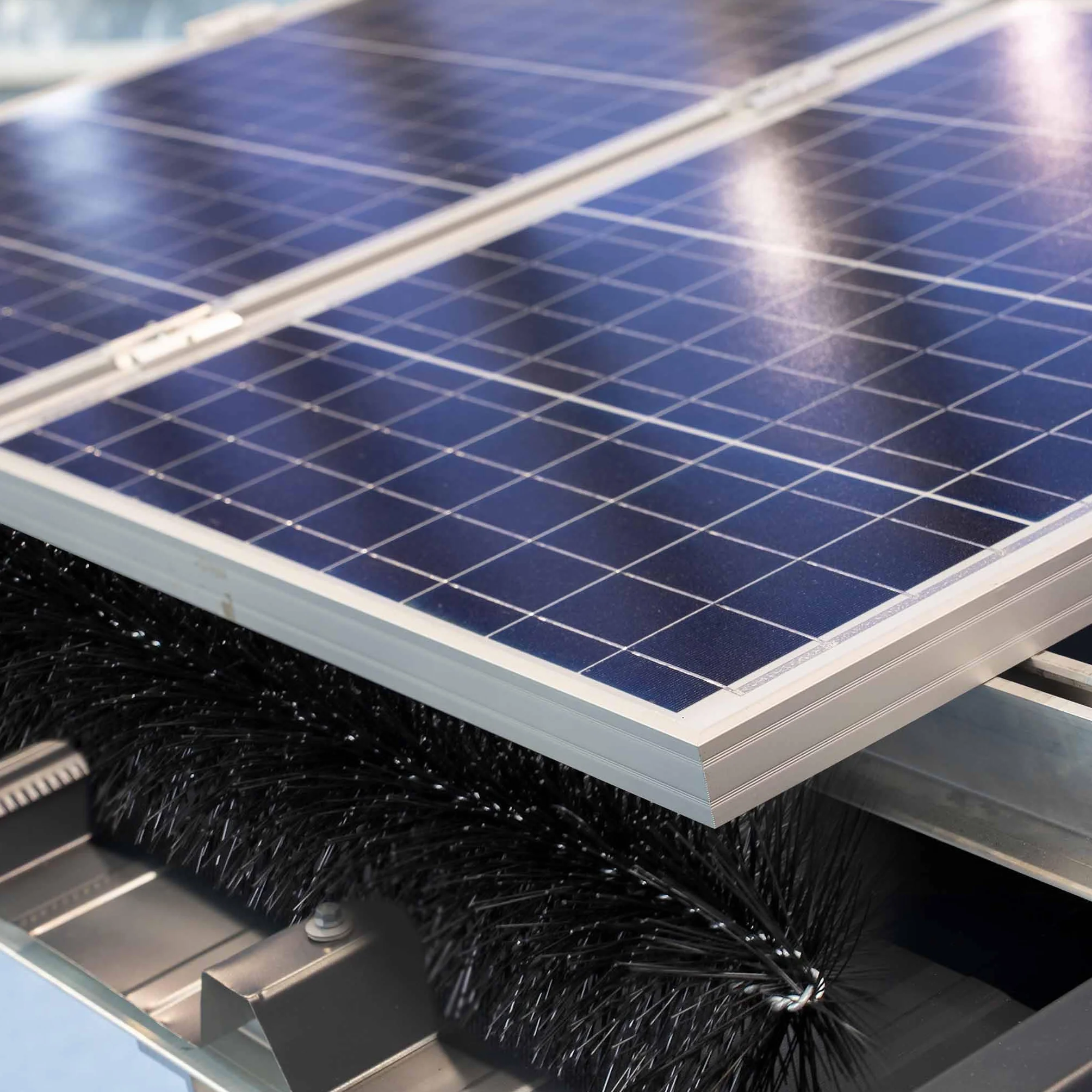 Wiltec Spazzola per grondaie e Barriera anti piccioni 10 scovoli 12 m Ø 19 cm per pannelli fotovoltaici