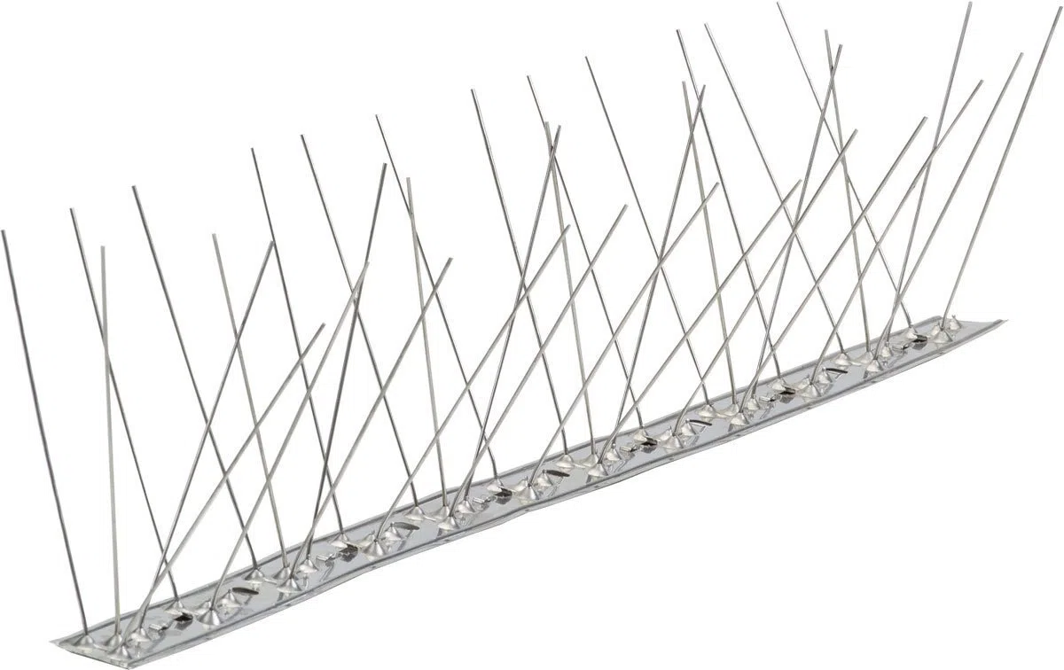 Digitalbird 25 MT DISSUASORI INOX spilli per piccioni volatili uccelli colombi