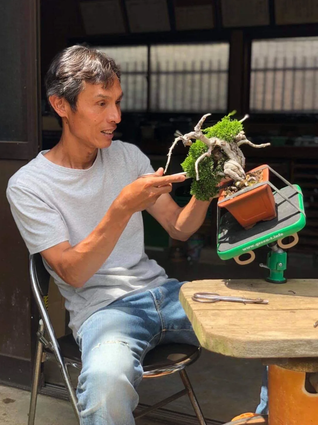 Tavolo professionale da lavoro con ventosa per Bonsai Shohin Green-T