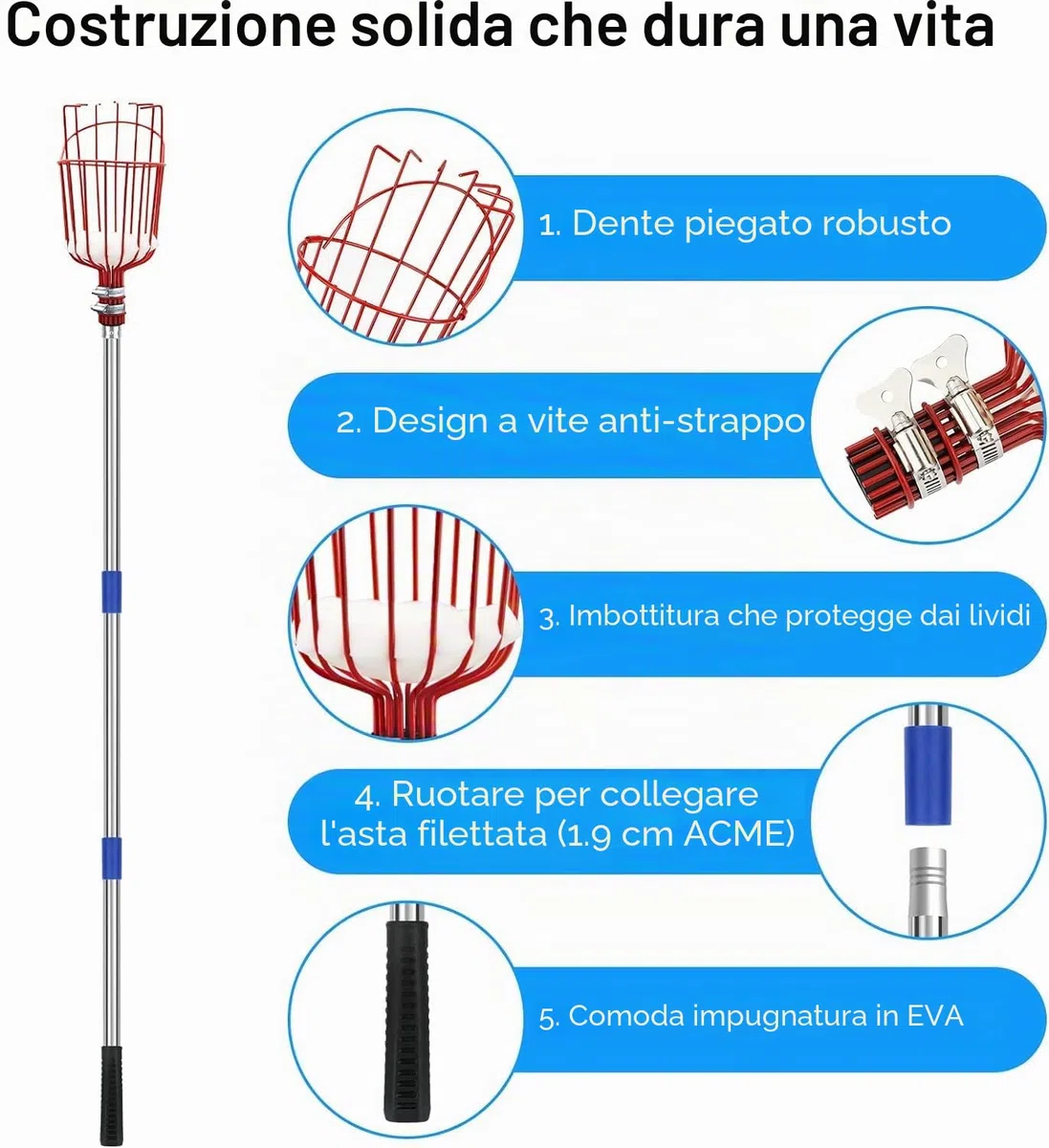 Raccoglitore di Frutta, Raccogli Frutta Olive Cachi Mela Arancia, Raccoglitrice con Palo in Acciaio Inox Leggero con Cuscinetto di Protezione, Strumento per Raccolta della Frutta Alto 4m Fruit Picker