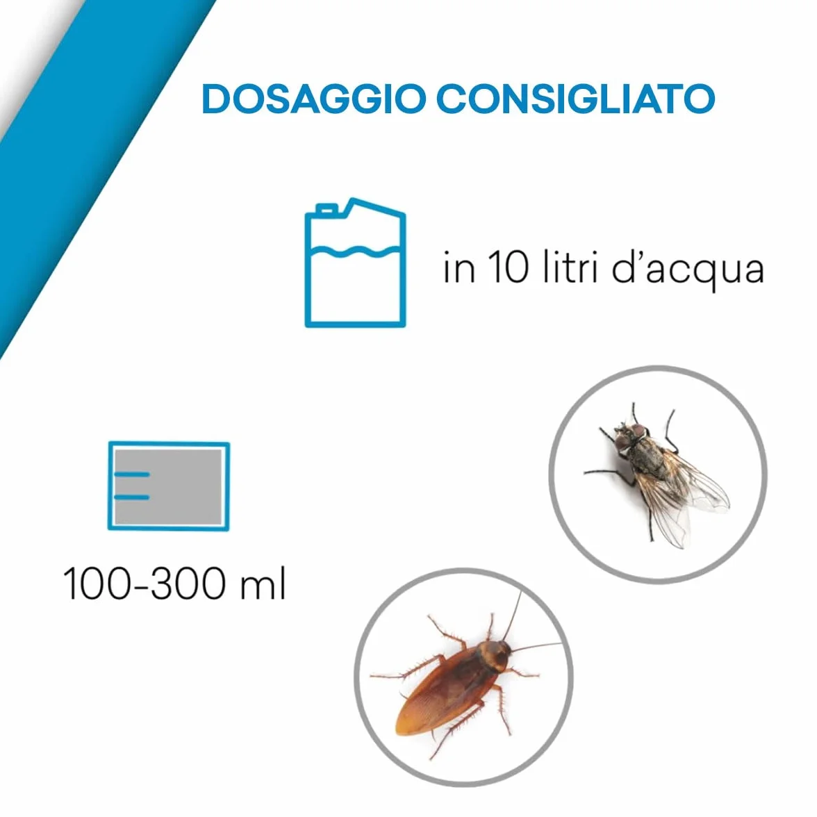 Insetticida Concentrato Insetti Striscianti e Volanti, Microincapsulazione, Made in Italy - 1 litro