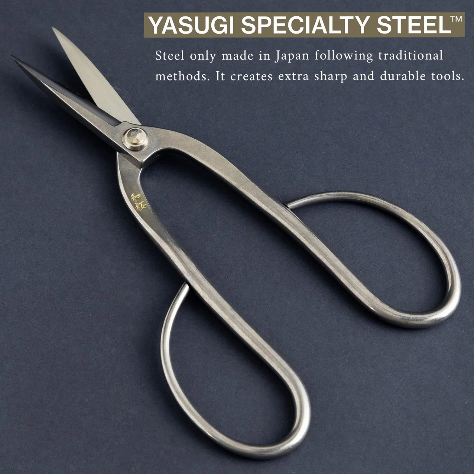 Forbici Ashinaga per Bonsai in Acciaio Inox Yasugi 200 mm Wazakura Giappone