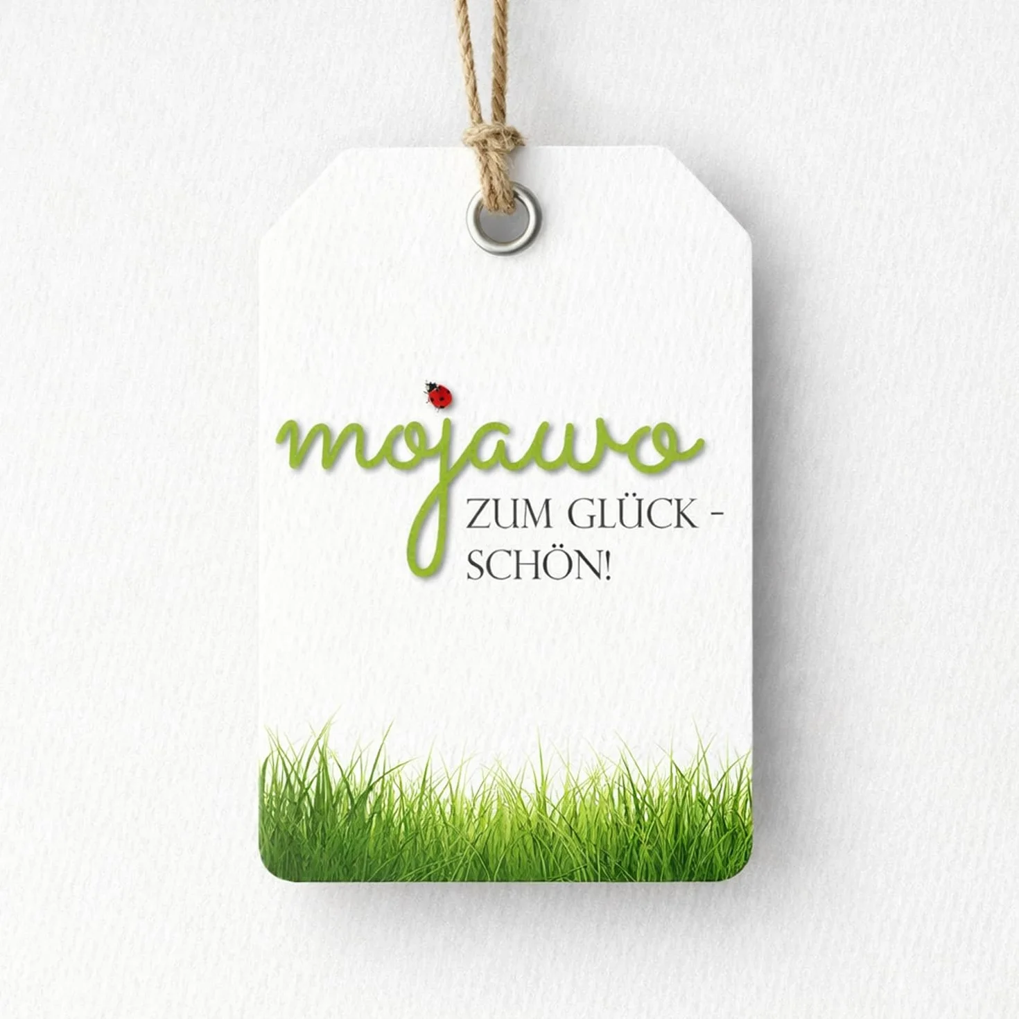 Mojawo Set di 2 Sedie da Giardino Pieghevoli con Schienale Alto, Acciaio Verniciato a Polvere, Verde Lime, Resistente alle Intemperie