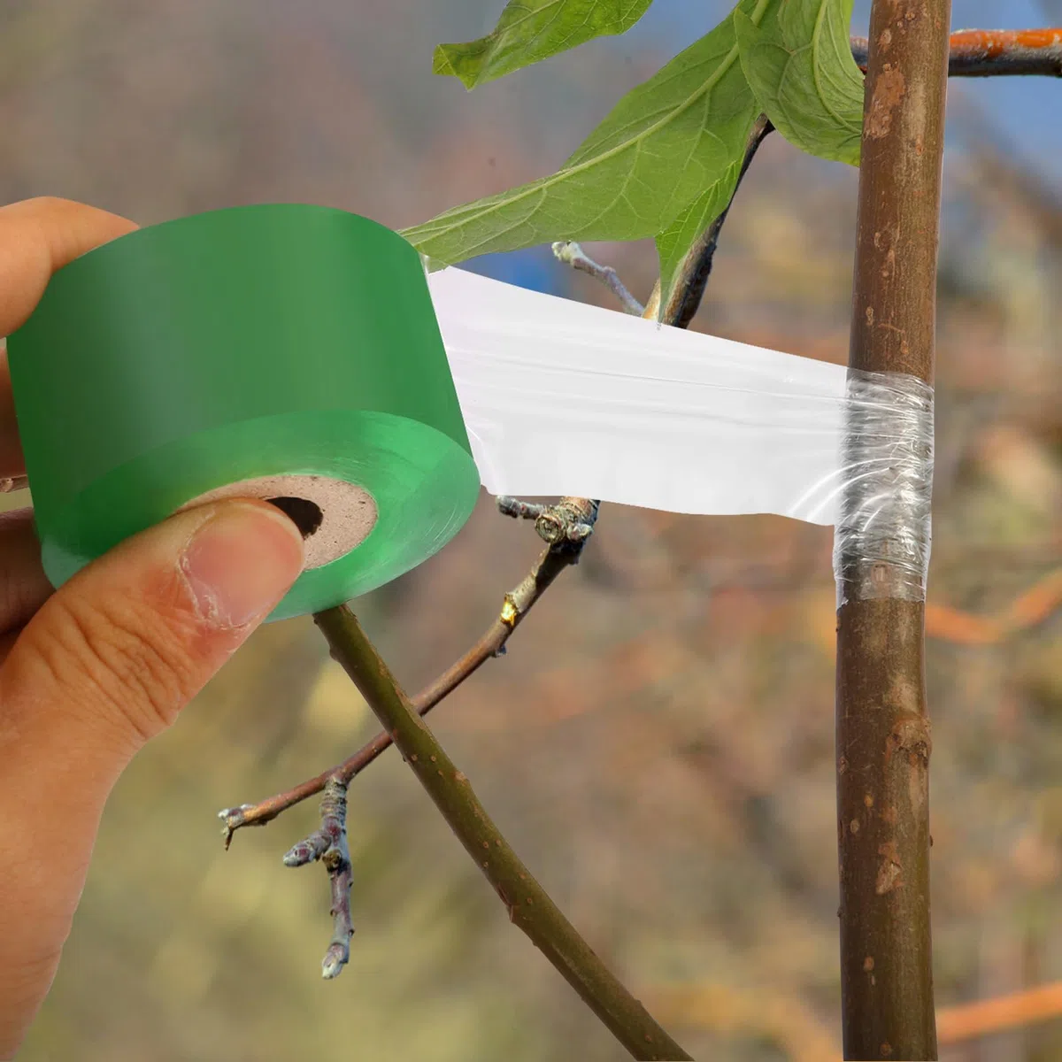 4 Pezzi Coltello da Innesto,Kit di Utensili per Innesto con Nastro Pellicola Innesti Guanti da Giardinaggio,Coltello da Potatura Alberi da Frutto per Piante di Fiori e Rami Germogliare