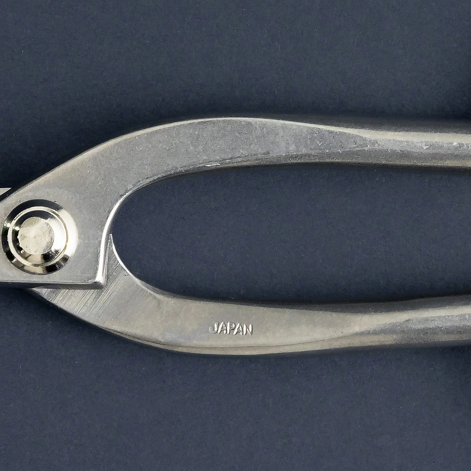 Forbici Ashinaga per Bonsai in Acciaio Inox Yasugi 200 mm Wazakura Giappone