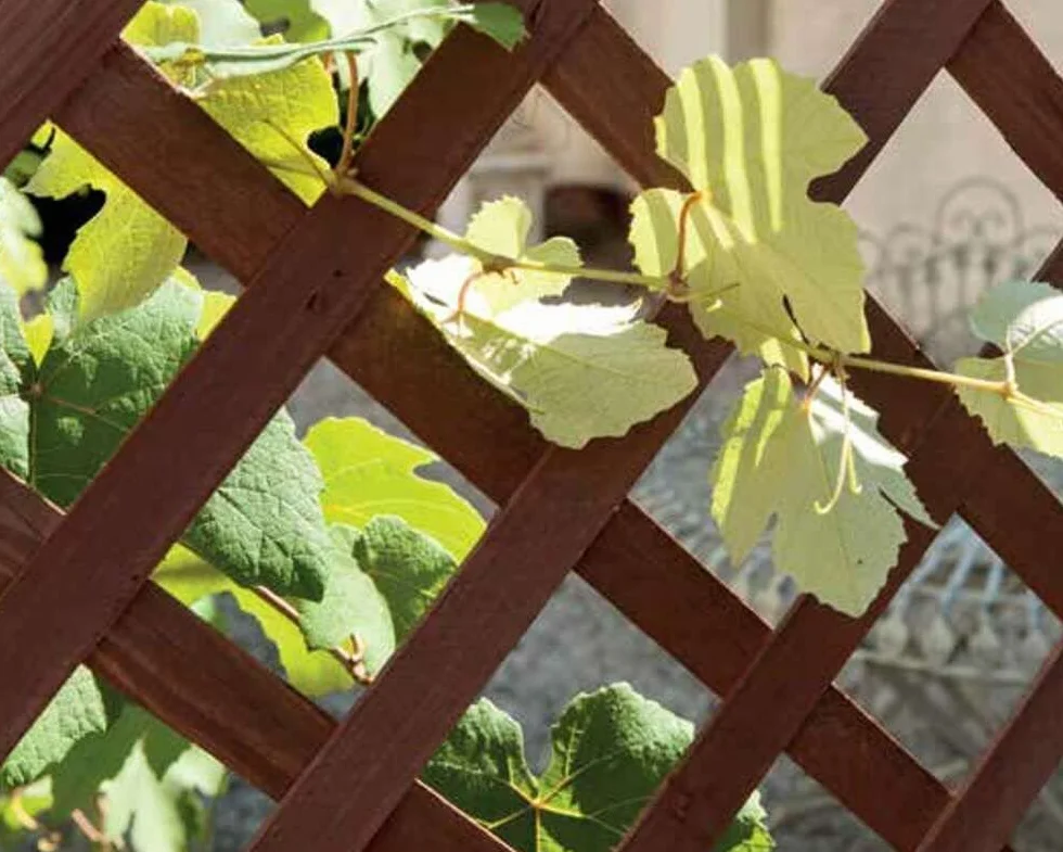 Griglia In Legno Pannello Estensibile Fino a 150 Cm Grigliato Divisorio Separè Alto 103 Cm Autoportante Per Balcone Giardino Terrazzo Piscina Privacy Decorazione Traliccio Pergolato Per Esterno