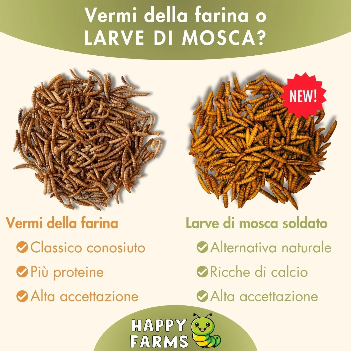 Larve di mosca soldati secchi 10 kg mangime ricco di proteine per uccelli, ricci e pesci