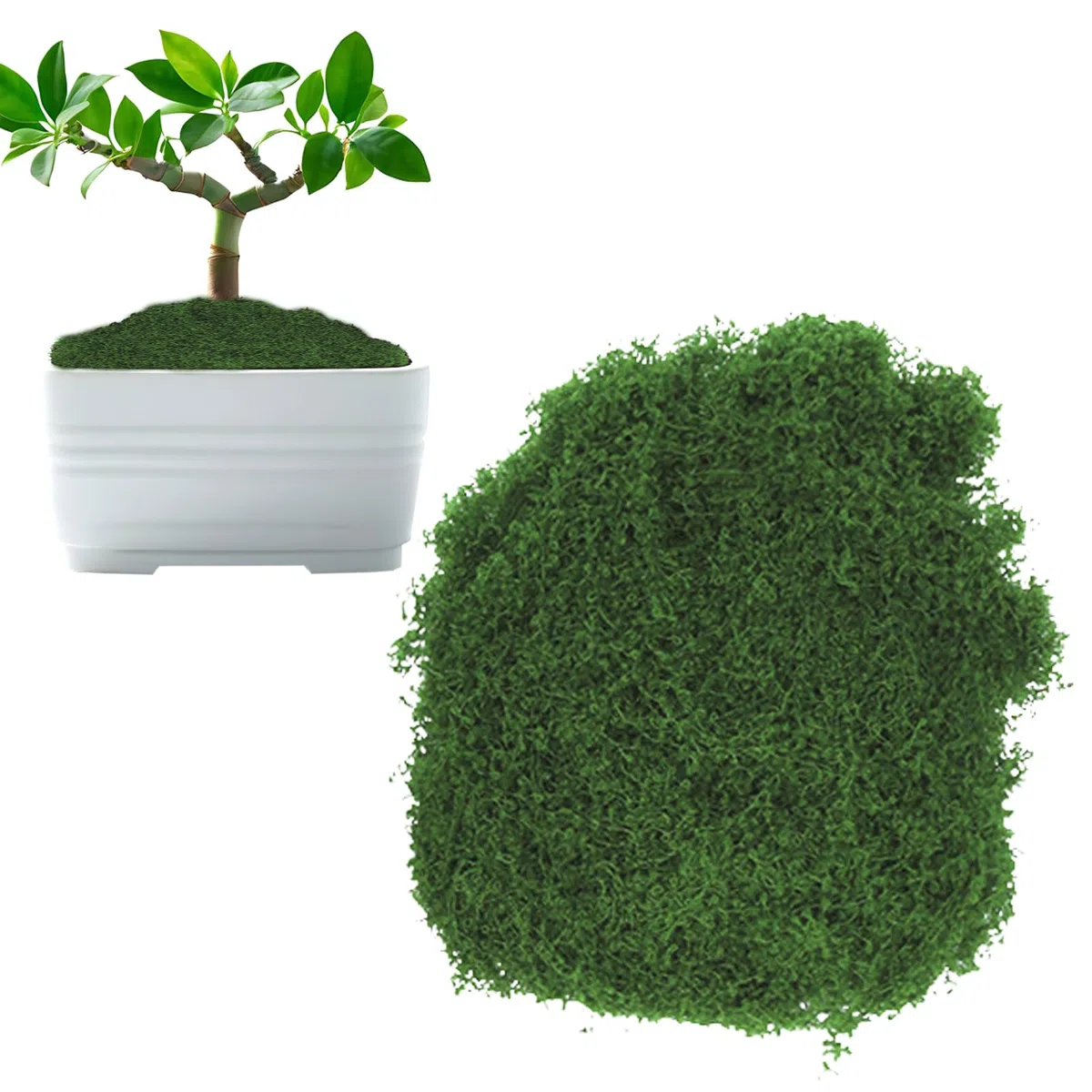 Muschio Stabilizzato 100g Muschio Artificiale per Decorazioni Floreali