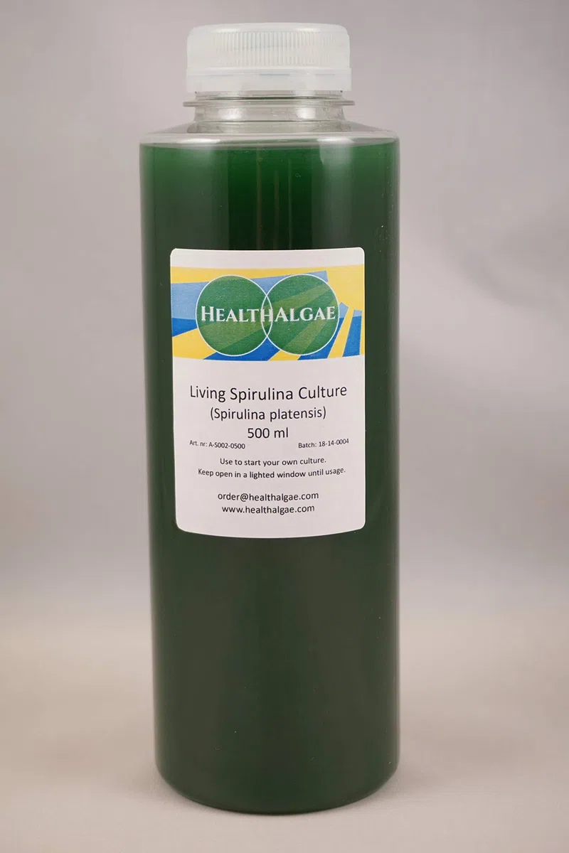 Spirulina platensis diretta (500 ml) + 10 L di Spirulina secca coltivata media SSD1 + 2 - coltura di alghe + fertilizzante (500+10)