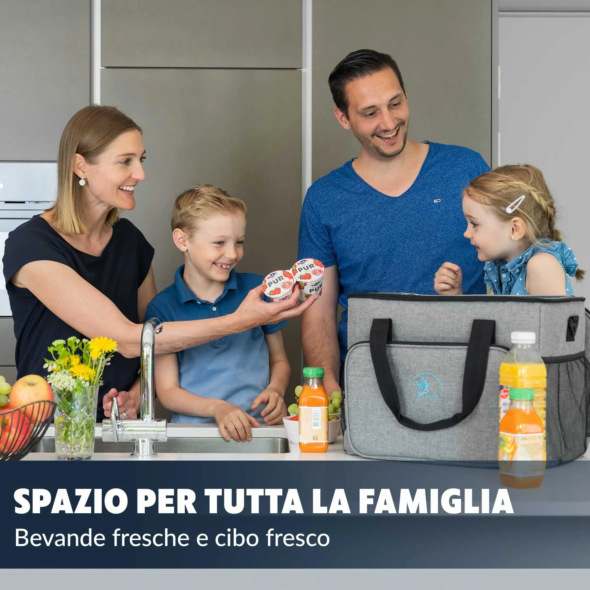 Obics Borsa termica porta pranzo 20 e 30 litri - Frigo isoterma portatile per alimenti, ufficio, picnic e da viaggio - Borsa-Frigo rigida e termiche isolata