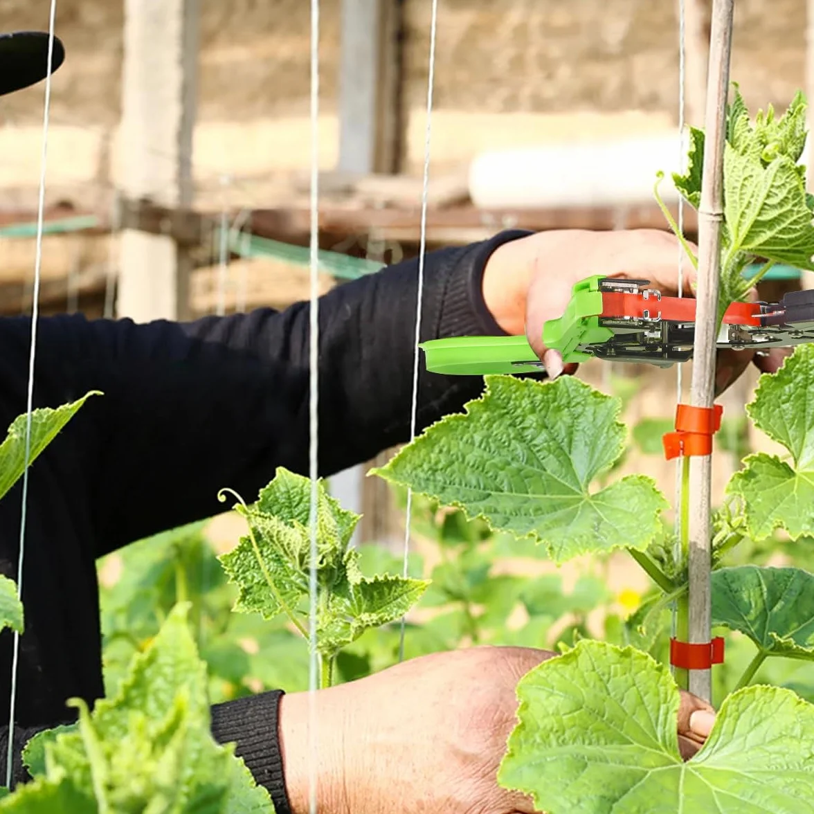 Legatrice Manuale per Pomodori Viti e UVA con Nastro e Graffette Verde/Nero