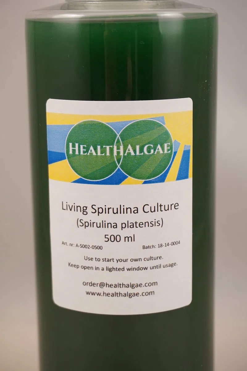 Spirulina platensis diretta (500 ml) + 10 L di Spirulina secca coltivata media SSD1 + 2 - coltura di alghe + fertilizzante (500+10)