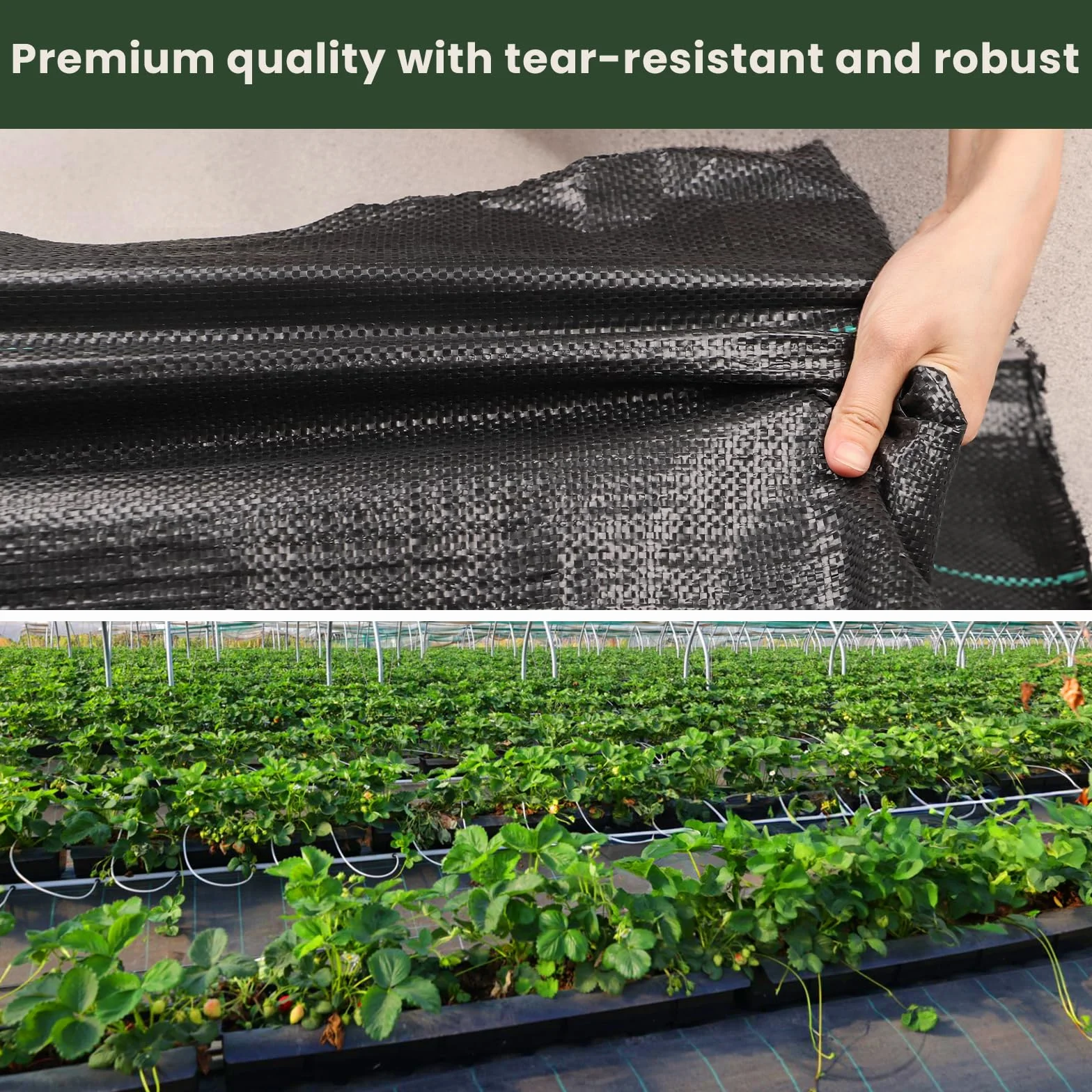 Telo Pacciamatura Anti Erbacce 4m x 10m Permeabile all'Acqua Resistente Strappo UV 90g/m² Giardino Orto