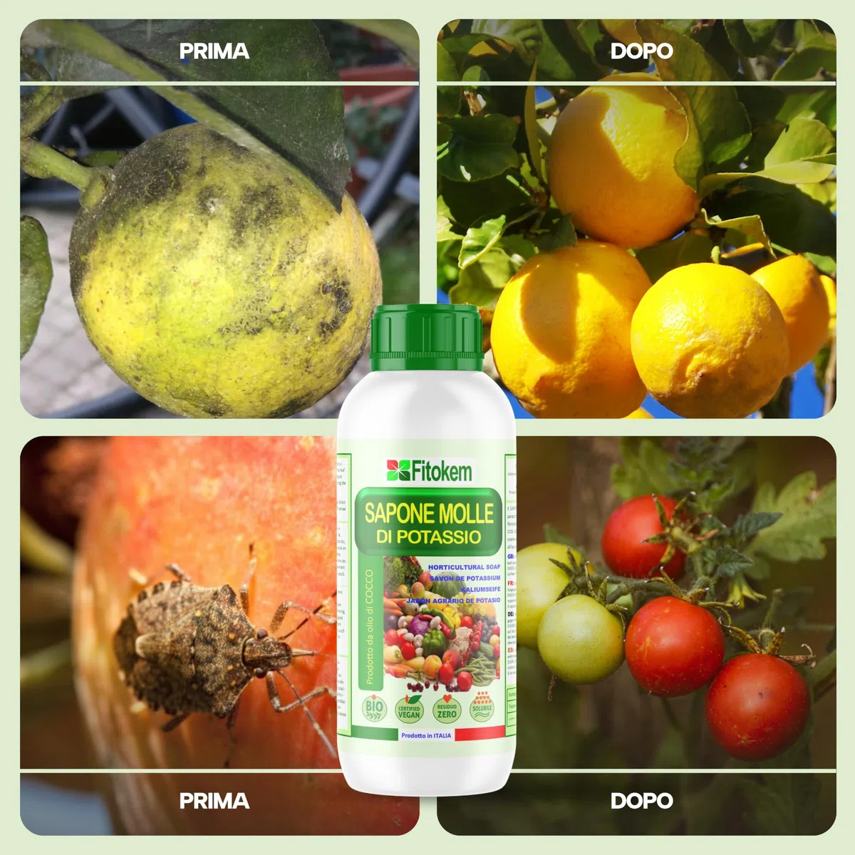Fitokem Sapone Molle di Potassio 1lt e Olio di Neem 1lt Kit Protezione Piante Corroborante Naturale per Orto e Giardino contro Afidi e Cocciniglia Residuo Zero Made in Italy
