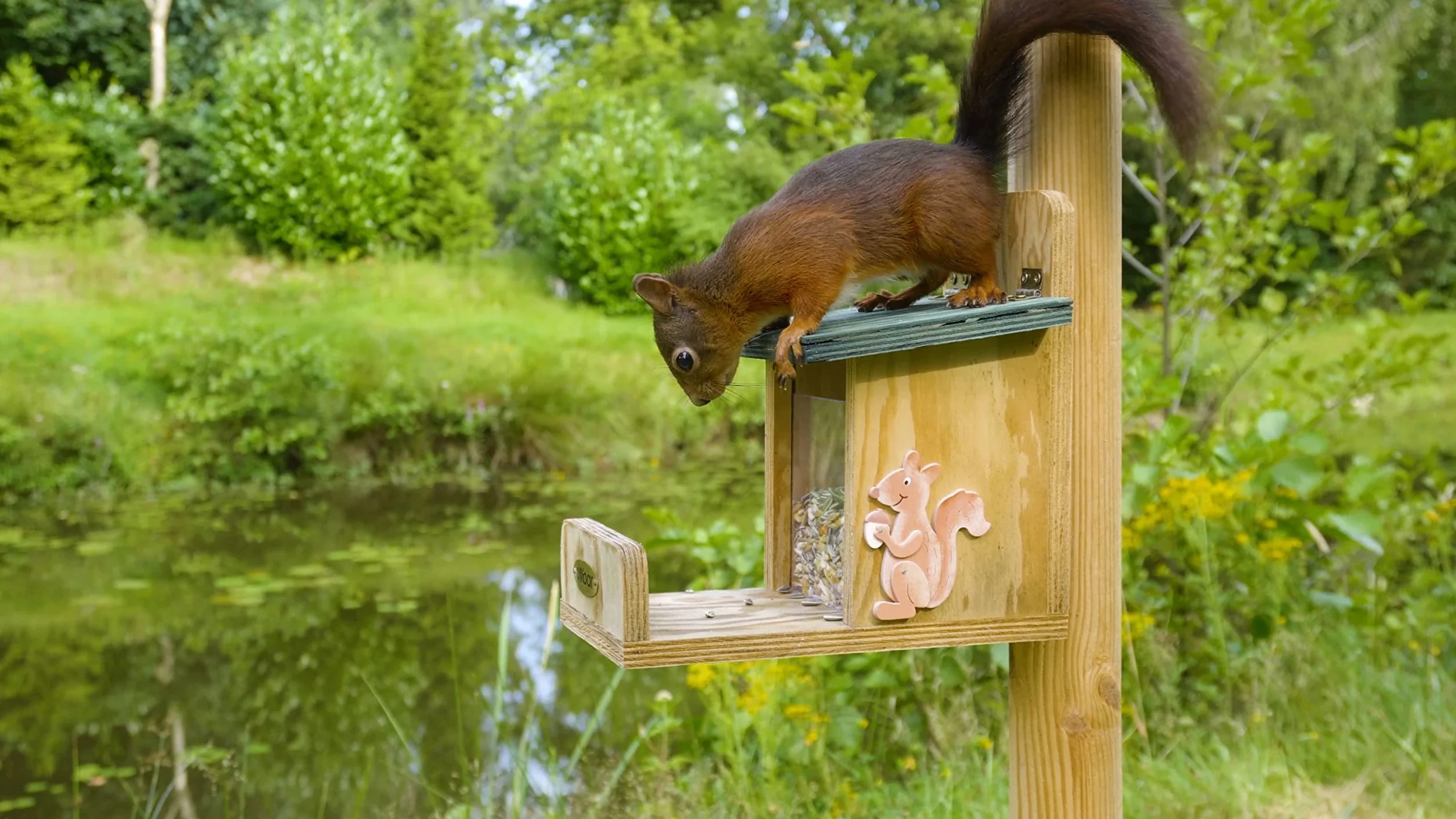Luxus-Insektenhotels, casetta per scoiattoli di Alta qualità