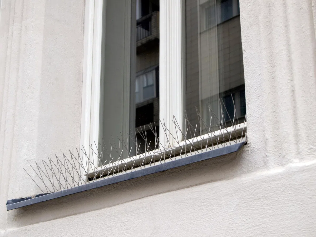 Dissuasori per volatili anti piccioni EINSIDE 80 punte acciaio inox AISI 304 Base flessibile 25m