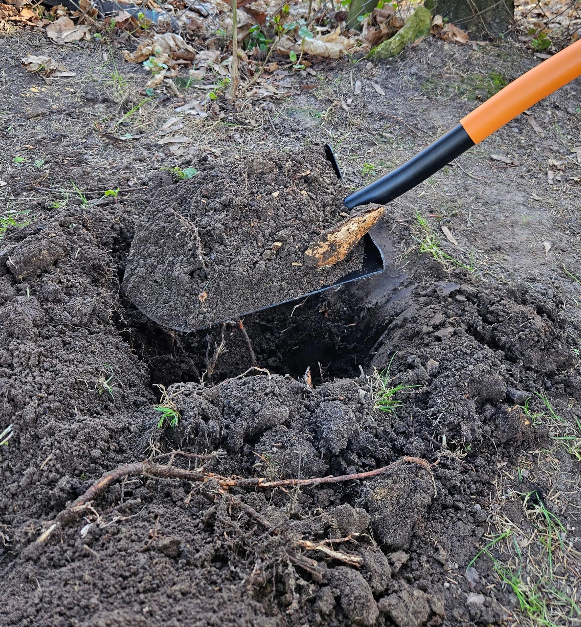Mivos Vanga a Punta Ergonomica in Acciaio al Carbonio - Lunghezza 124 cm - Vanga da Giardinaggio per Scavare in Terreni Duri – Pala da Lavoro con Impugnatura a D – Made in EU