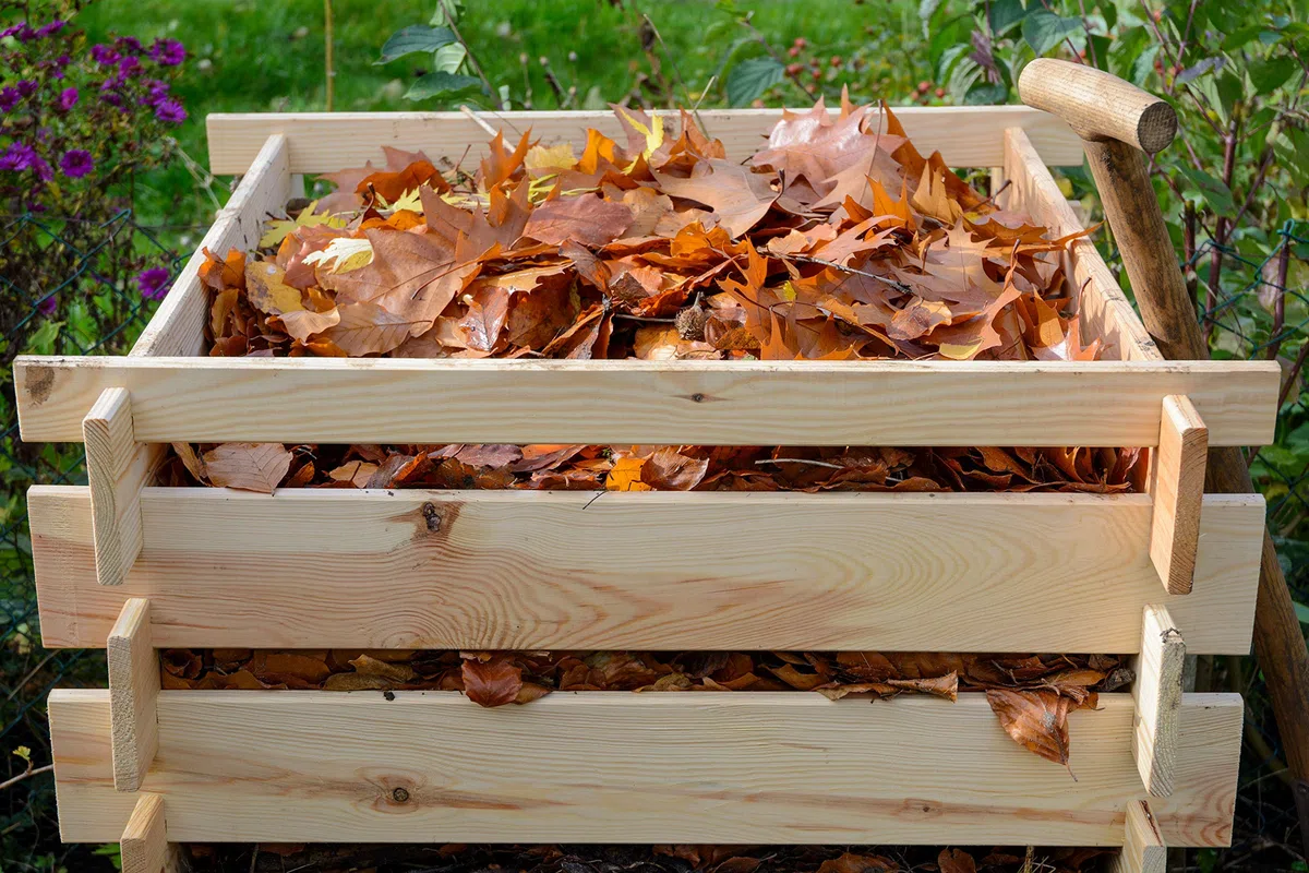 dobar® Green Label 58600FSCe Compostiera Stecki | Contenitore quadrato in legno massello | Compostiera da giardino 320 l | Kit | 78 x 78 x 78 cm |