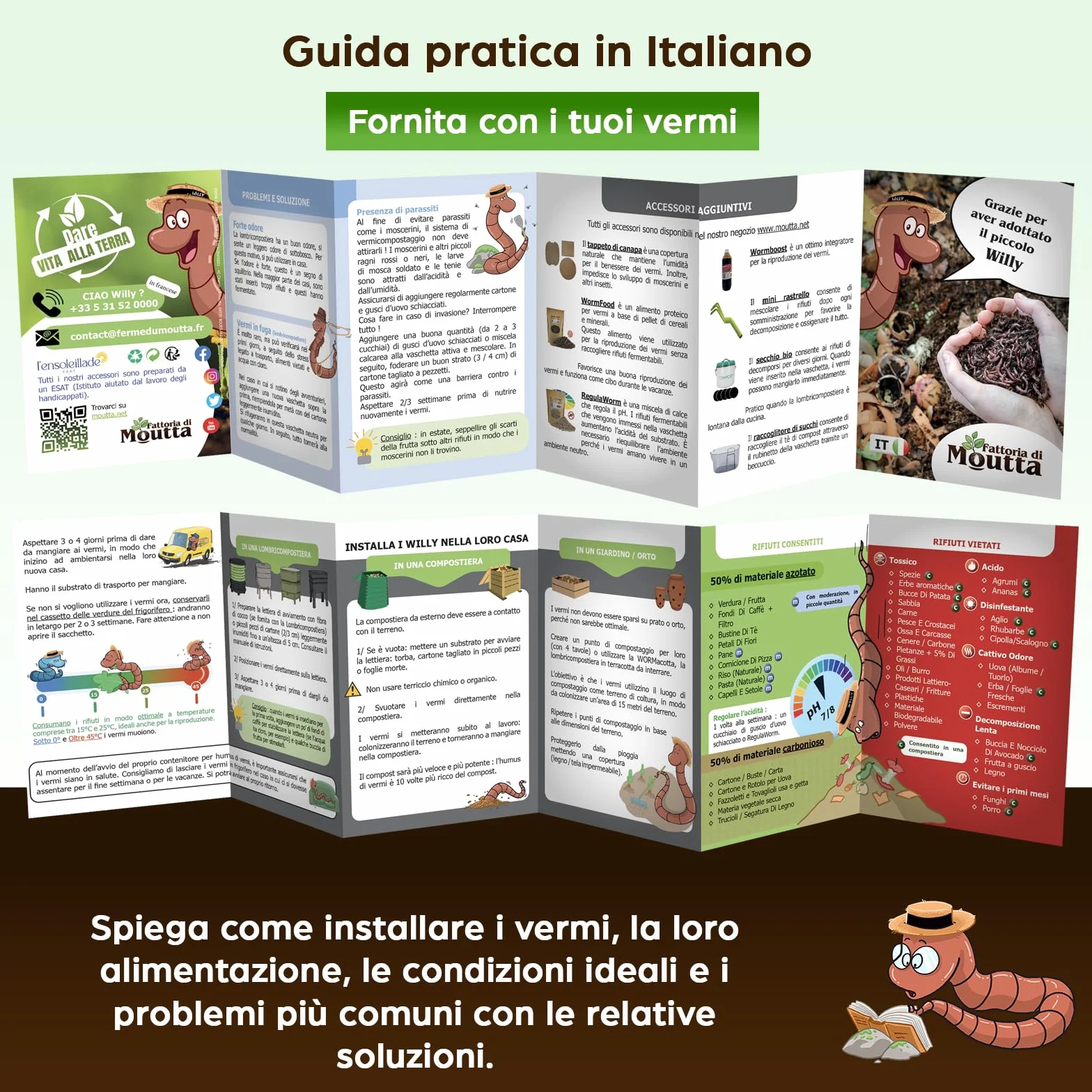 Lombrichi da 500g (circa 1,000 pz.) | Vermi vivi da terra Eisenia, crea un compost con i tuoi rifiuti organici - Per vermicompostaggio/composter/giardino