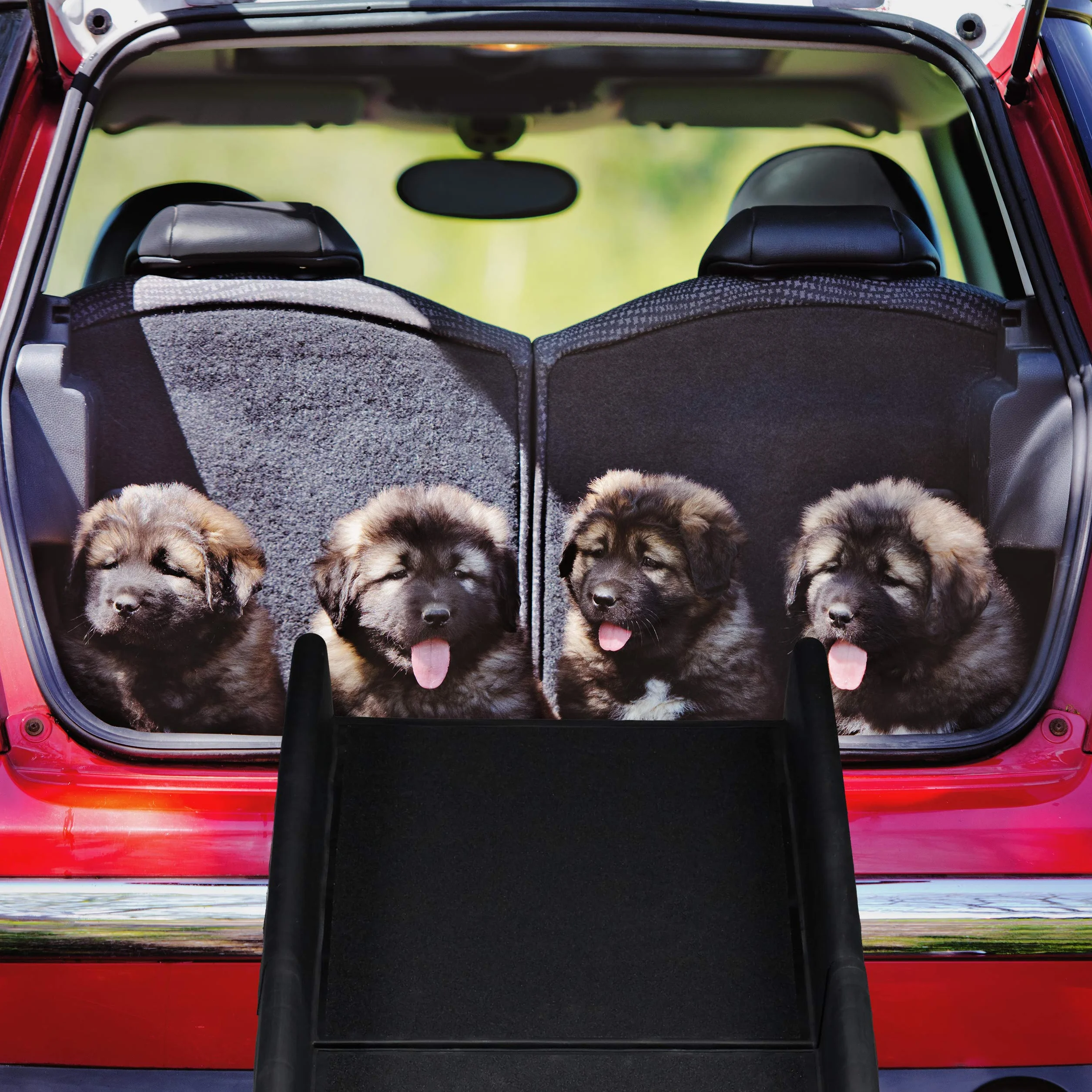 Relaxdays Rampa da Auto per Cani Pieghevole Antiscivolo 90 kg 156x40 cm Nero