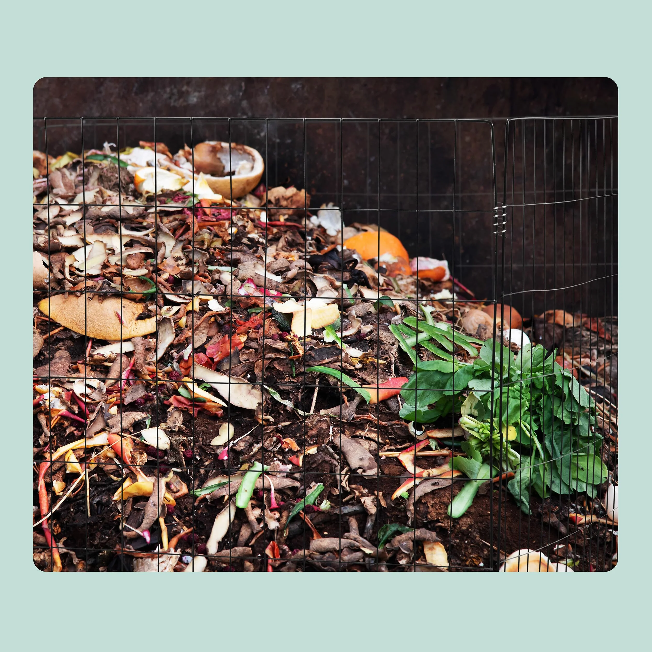 Relaxdays Compostiera in Metallo, per Compost da Giardino, Contenitore per Foglie e Fogliame, HLP: 48 x 46 x 46 cm, Nero
