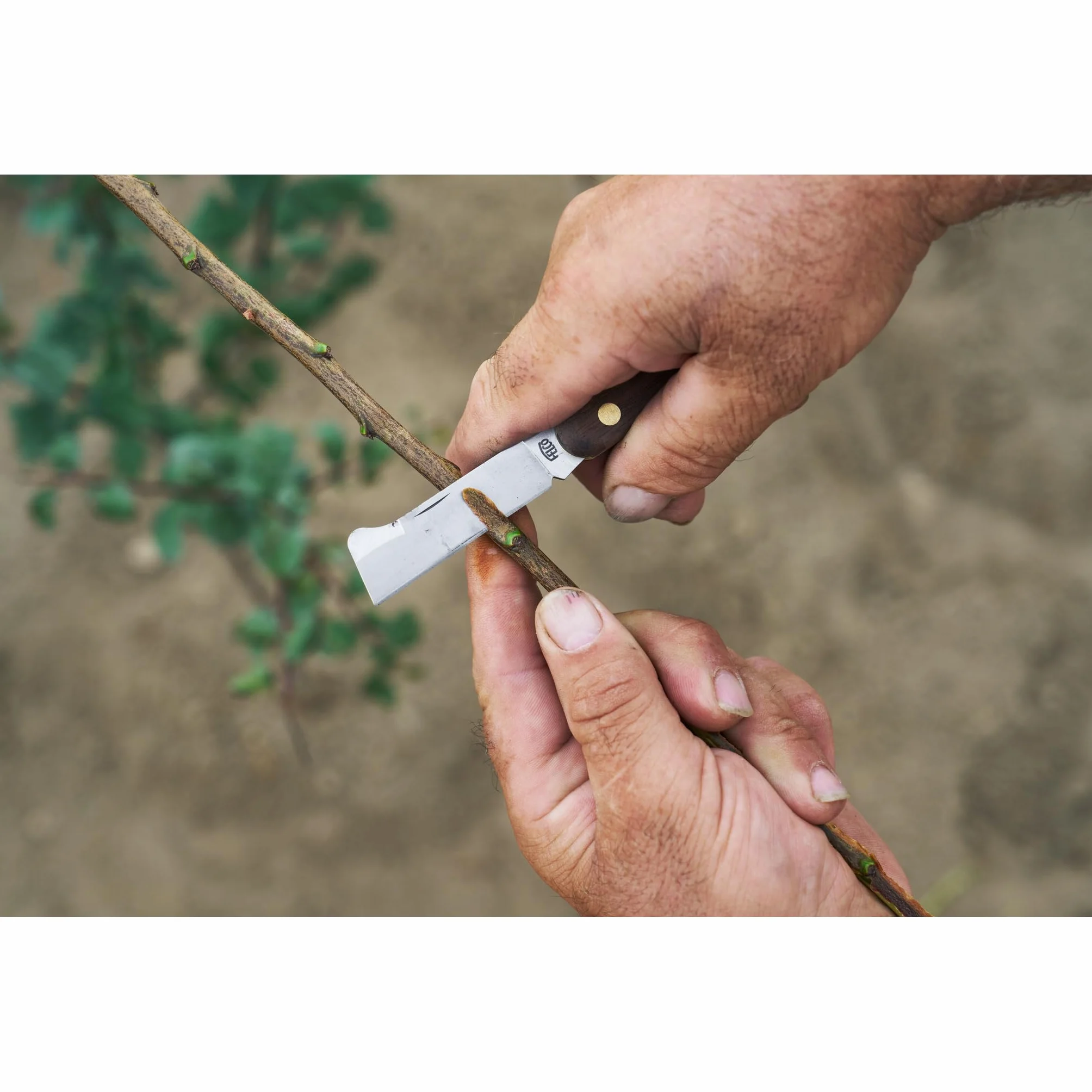FELCO 512 Coltello da Innesto e Marza, Lama di Precisione 57mm, Costruzione Resistente, Compatto 105mm, Leggero 67g, Strumento Essenziale per Tagli Puliti in Giardino