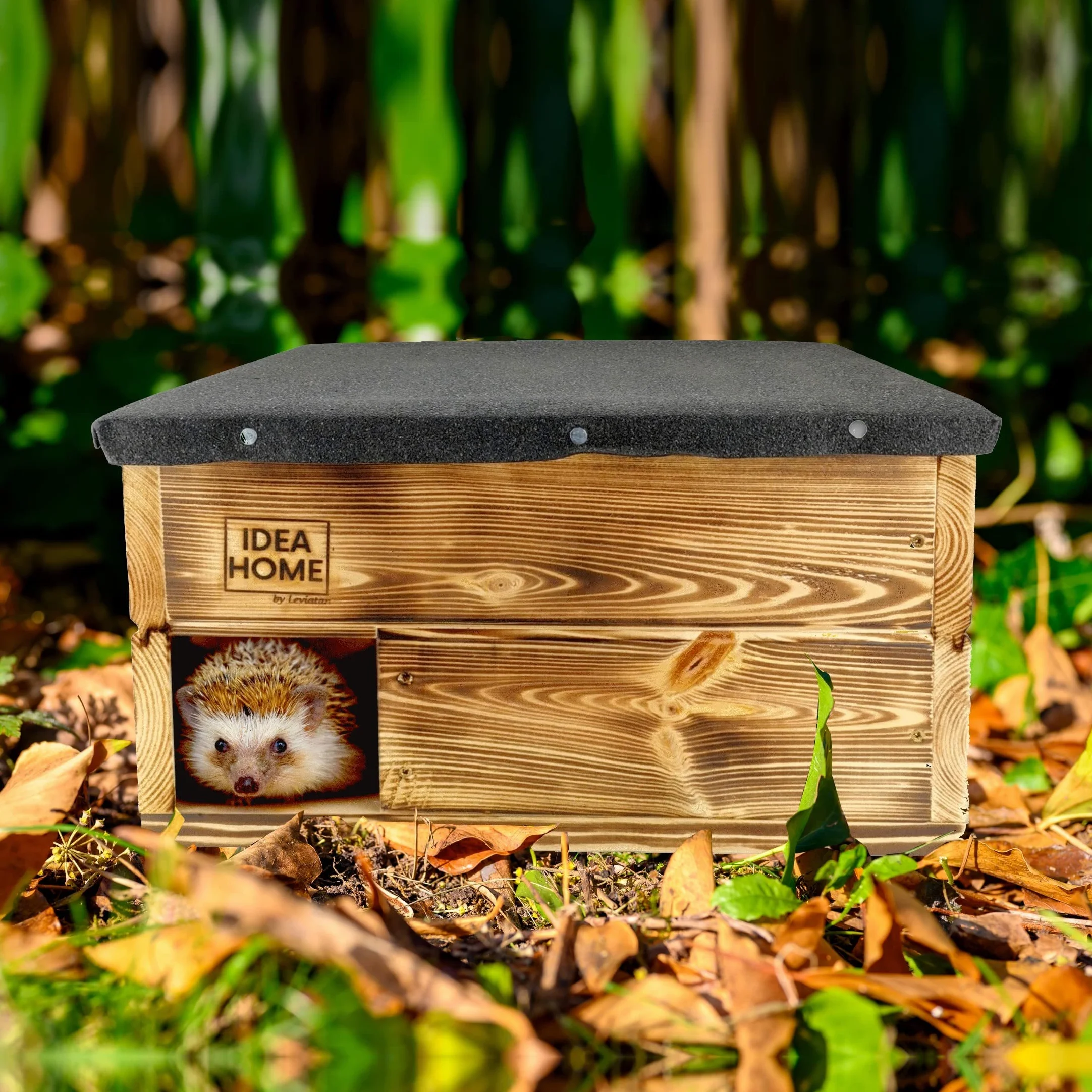 LEVIATAN - Casa per ricci | con pavimento in legno I Casa per tutto l'anno | Resistente alle intemperie | Perfetto per il giardino | Quartier invernale