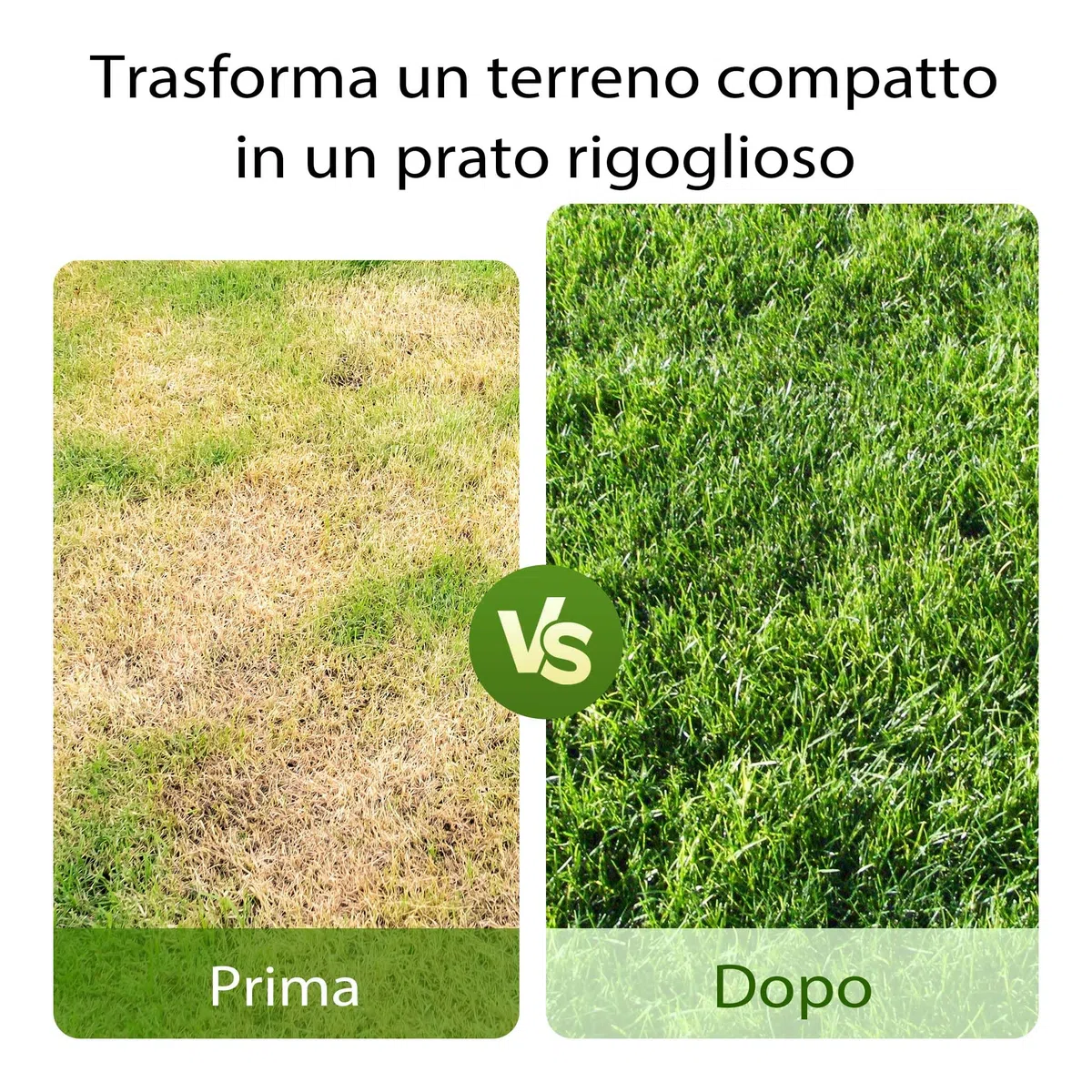 Wiltec Carotatrice manuale per prato in acciaio con impugnatura ergonomica a T e 4 fustelle