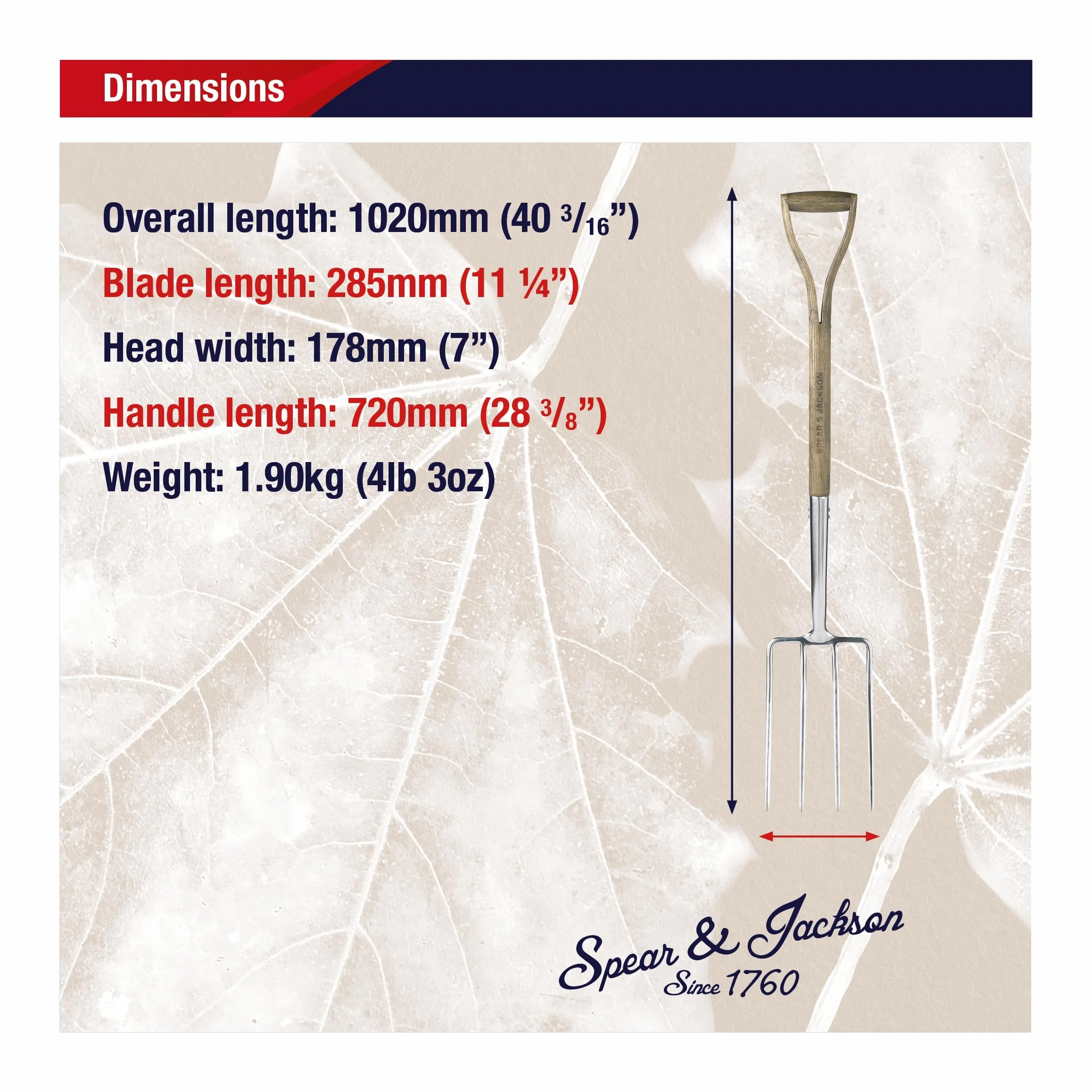 Spear & Jackson 4550DF Forcone Tradizionale a Vanga in Acciaio Inossidabile