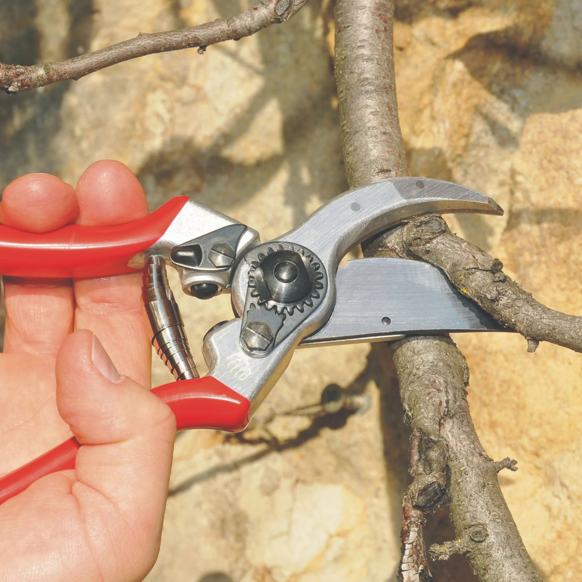 FELCO 2 Cesoia da Potatura Bypass, Mano Destra, Mano Grande, Capacità di Taglio 25mm, Lama in Acciaio Temprato, Manico in Alluminio Forgiato, Made in Switzerland, Garanzia a Vita