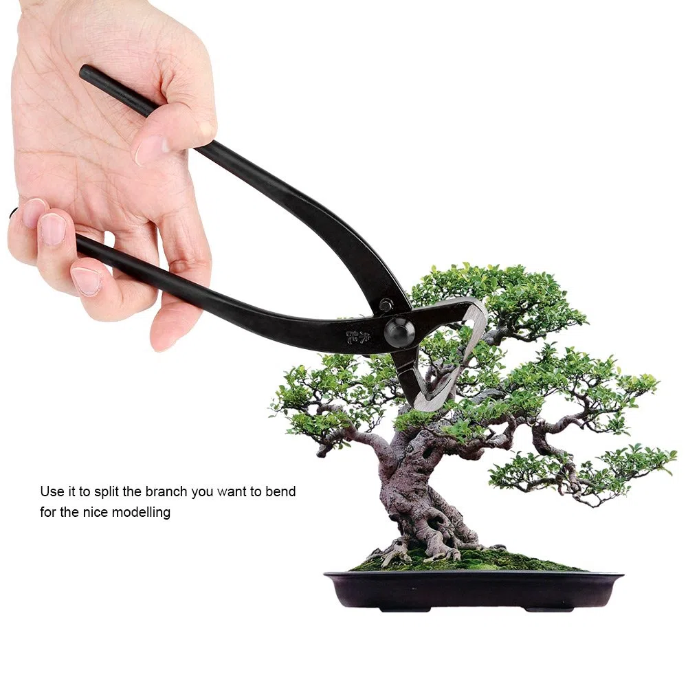 Professionale di Strumenti per Bonsai Trunk Splitter in Lega di Acciaio al Manganese Giardinaggio Bonsai Utensili con Manico ergonomico