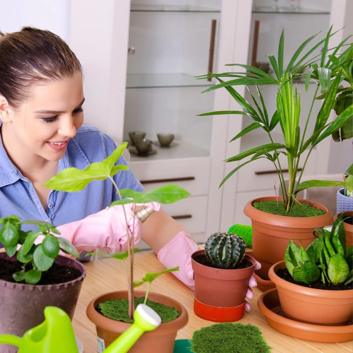 Muschio Stabilizzato 100g Muschio Artificiale per Decorazioni Floreali