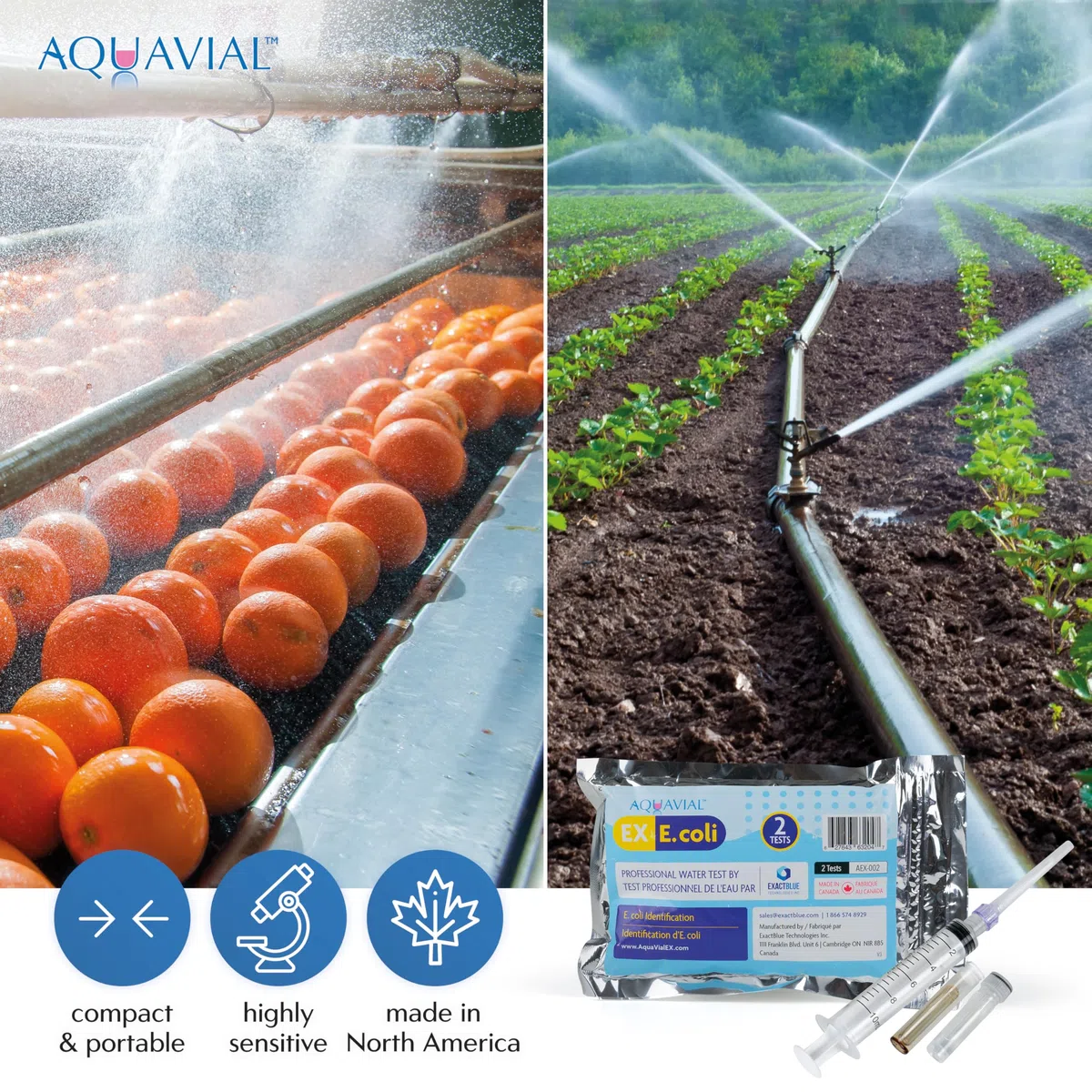 Kit Test Acqua Test Dell'acqua Batteri E Coli Aqua Potabile Del Rubinetto Calda Del Tubo Di Prova Stagno Lago Fiume Piscina Analisi Professionale