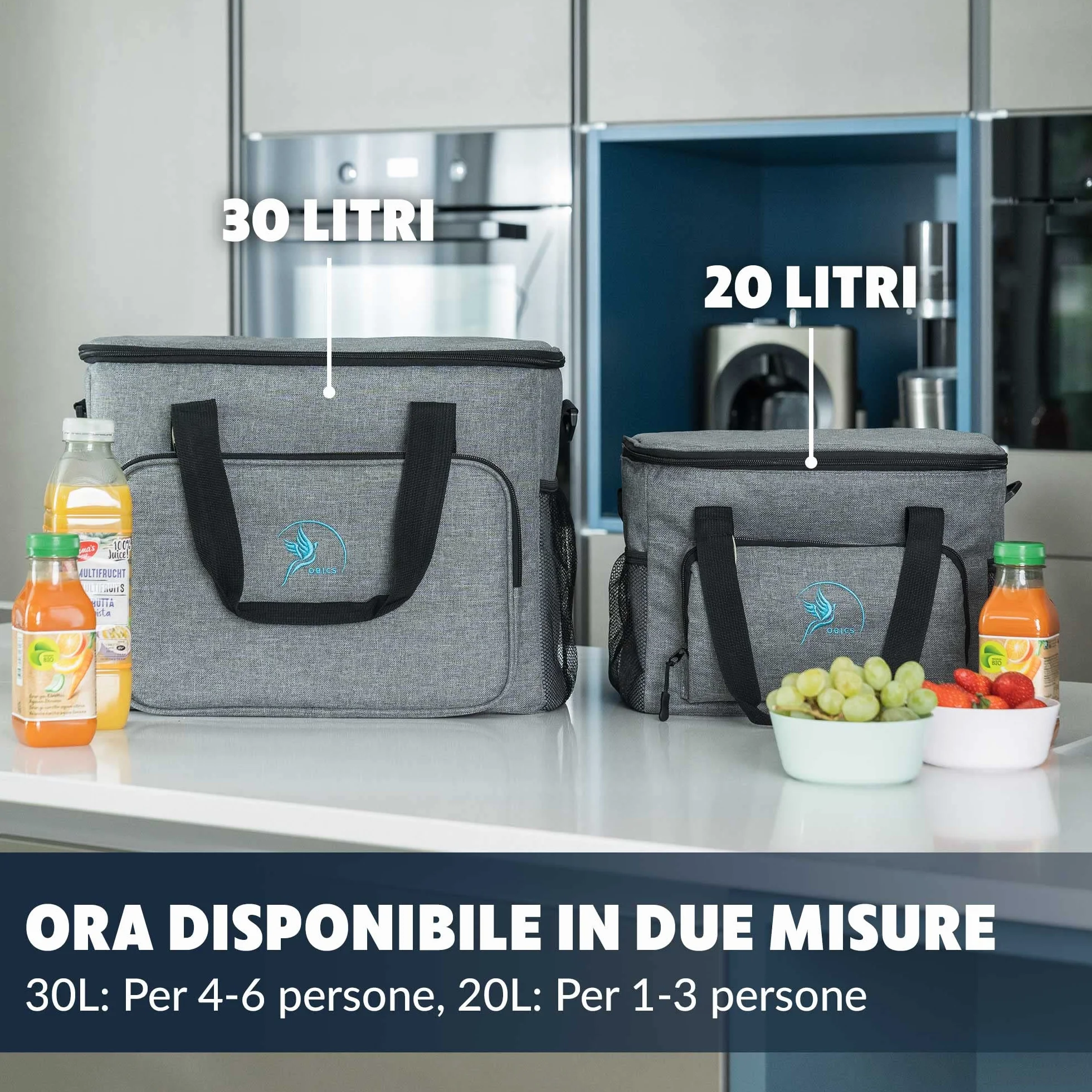 Obics Borsa termica porta pranzo 20 e 30 litri - Frigo isoterma portatile per alimenti, ufficio, picnic e da viaggio - Borsa-Frigo rigida e termiche isolata