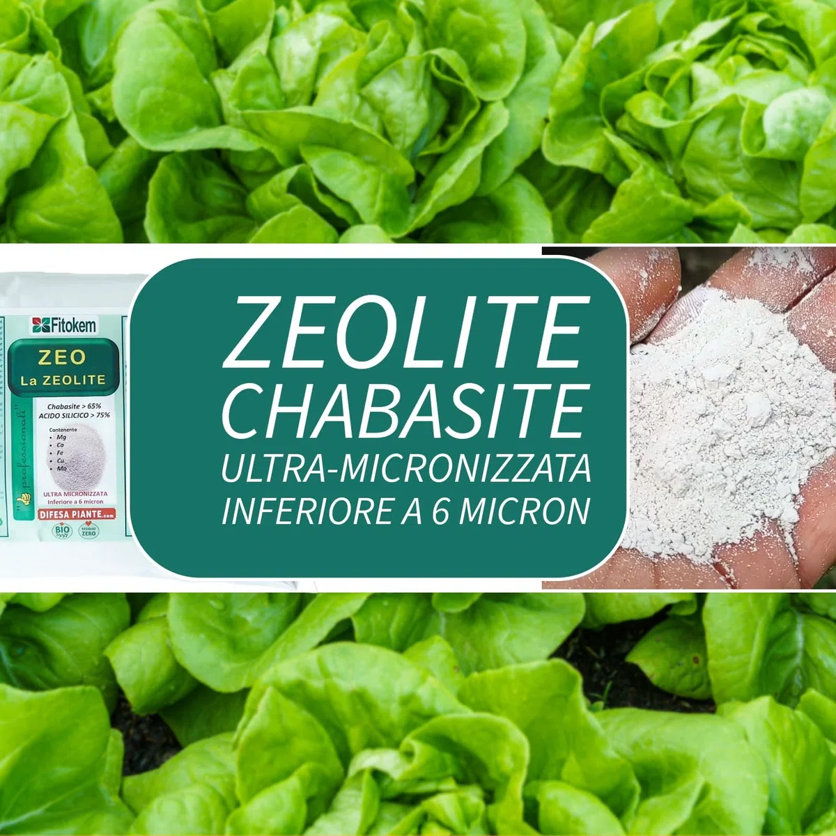 Fitokem Zeo Zeolite per Piante 6kg Polvere di Roccia per Agricoltura