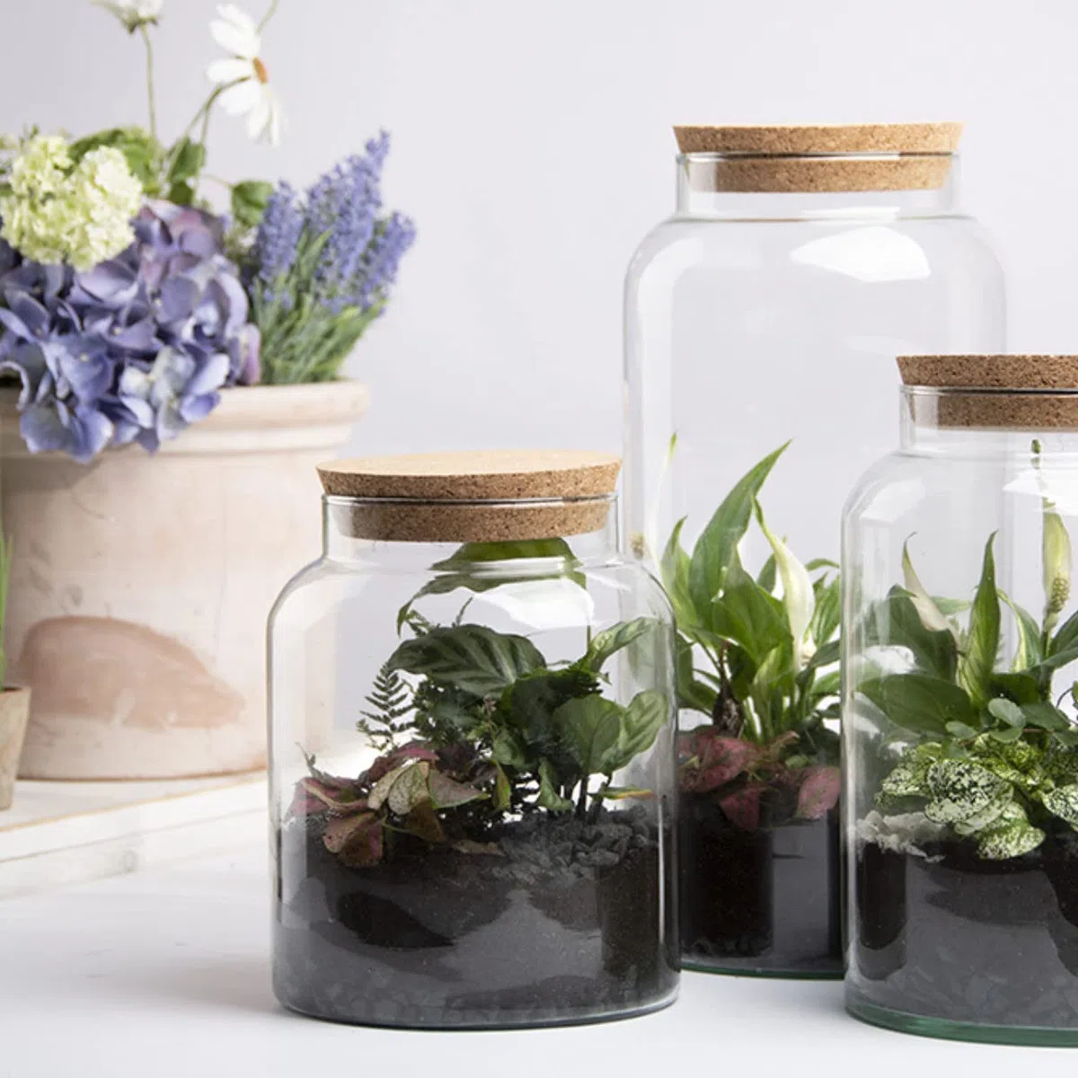 esschert Vaso per terrario, 41 cm