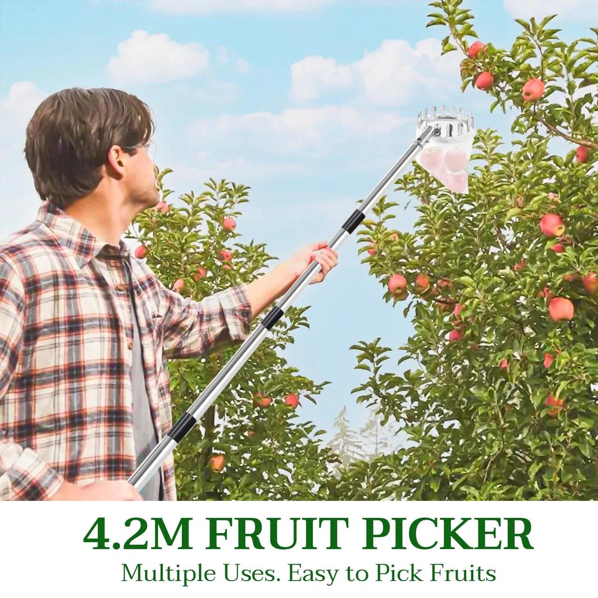 Raccogli frutta con manico telescopico, in acciaio inox, 4,2 m, raccogli mele, ciliegie, lunghezza regolabile, raccolta prugne, frutta con sacchetto di cotone