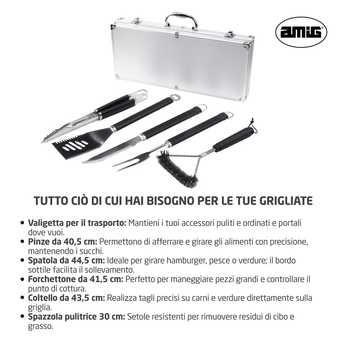 Amig Valigetta per Barbecue Acciaio Inossidabile Set Completo Utensili con Custodia AM01