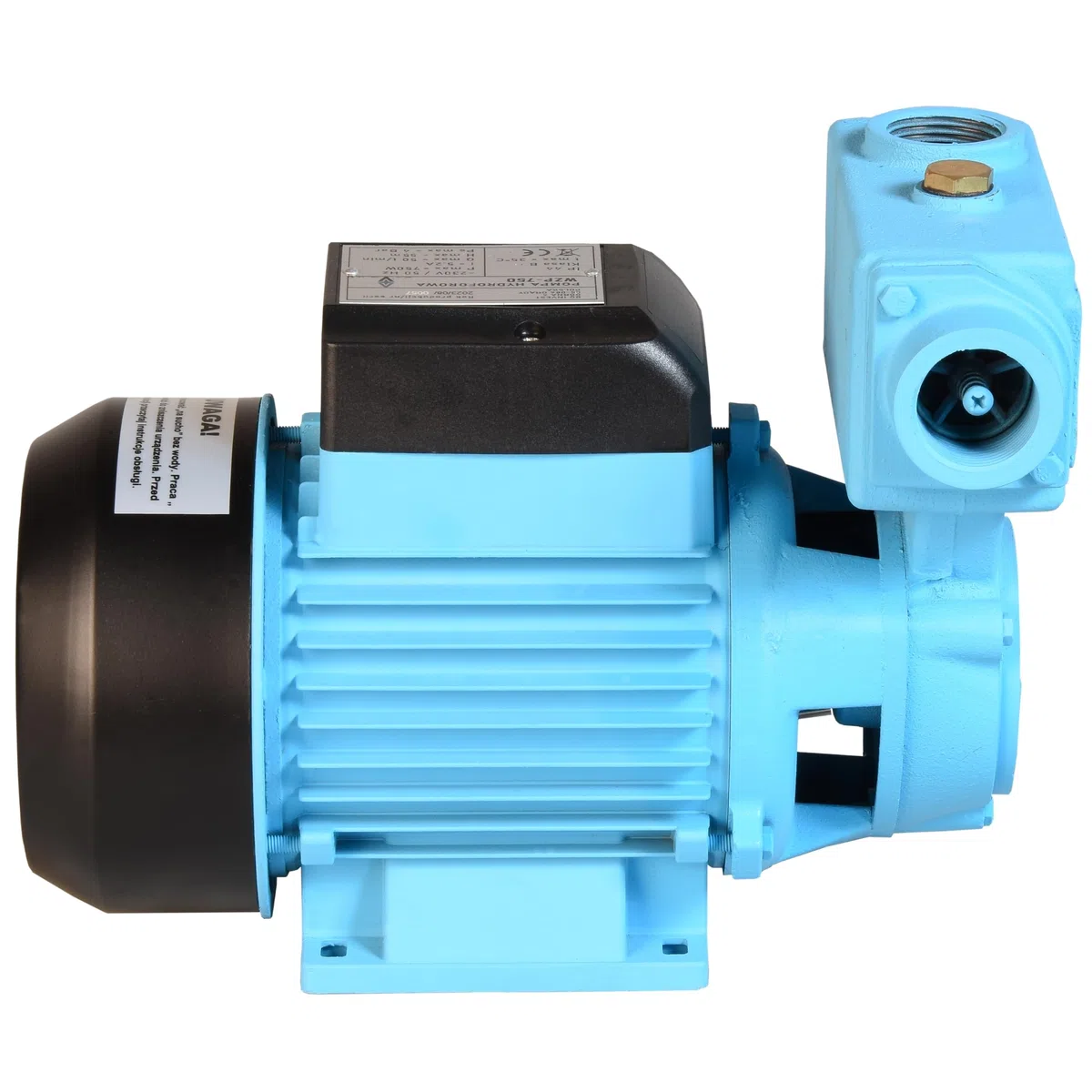 Pompa dell'acqua WZP 750 (750 W, 3000 l/h, altezza di mandata 55 m) - per acqua pulita - pompa da giardino, per irrigazione, dell'acqua piovana