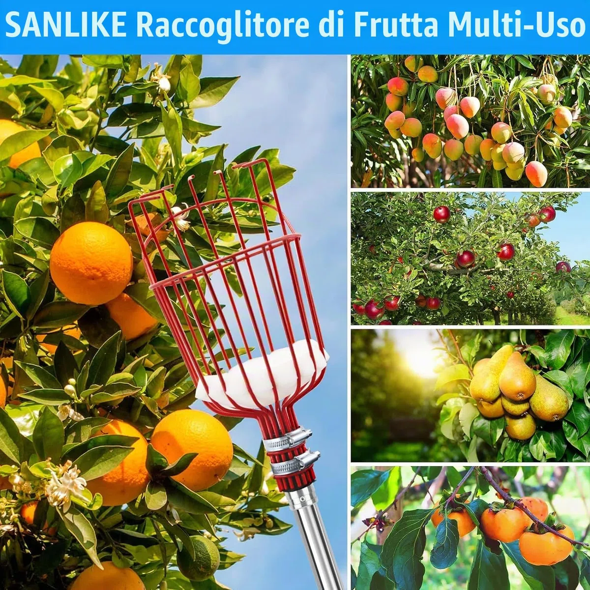 Raccoglitore di Frutta, Raccogli Frutta Olive Cachi Mela Arancia, Raccoglitrice con Palo in Acciaio Inox Leggero con Cuscinetto di Protezione, Strumento per Raccolta della Frutta Alto 4m Fruit Picker