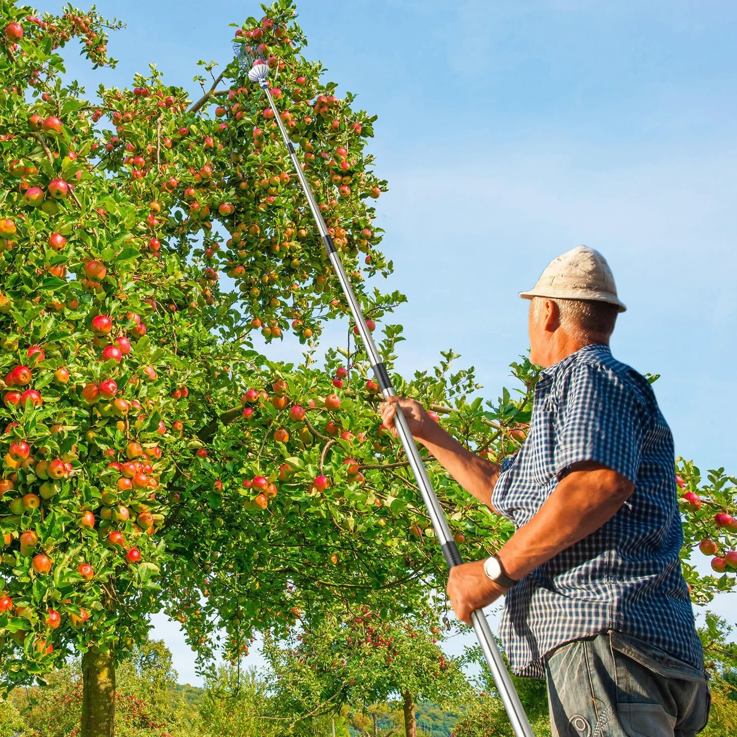 MaidMAX Raccoglitore di Frutta, 4m Fruit Picker, Raccoglifrutta Arancia Mela Raccoglitrice con Palo in Acciaio Inox Leggero, Cestino Robusto con Cuscinetto in Schiuma, Morsetto in Metallo