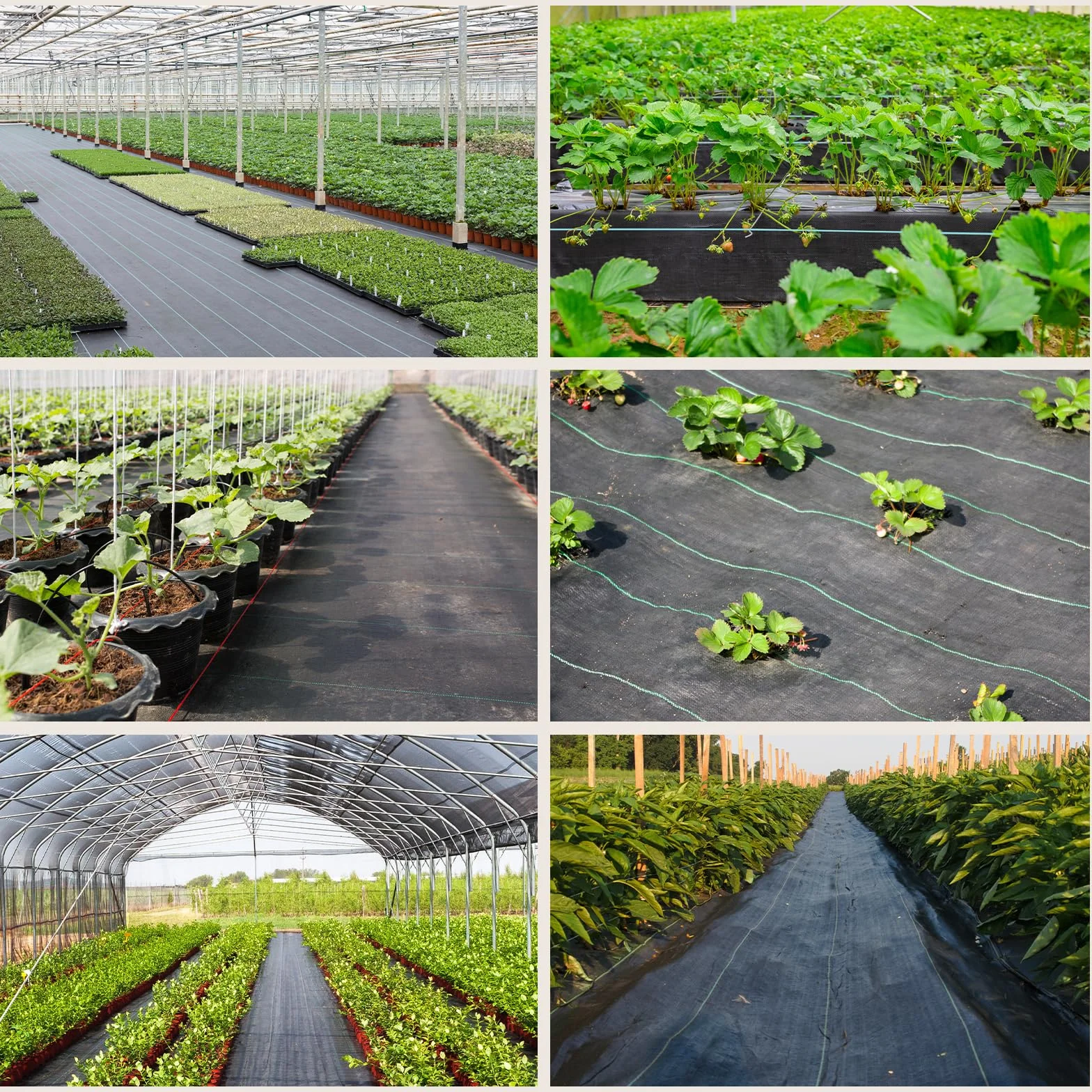 Telo Pacciamatura Anti Erbacce 4m x 10m Permeabile all'Acqua Resistente Strappo UV 90g/m² Giardino Orto