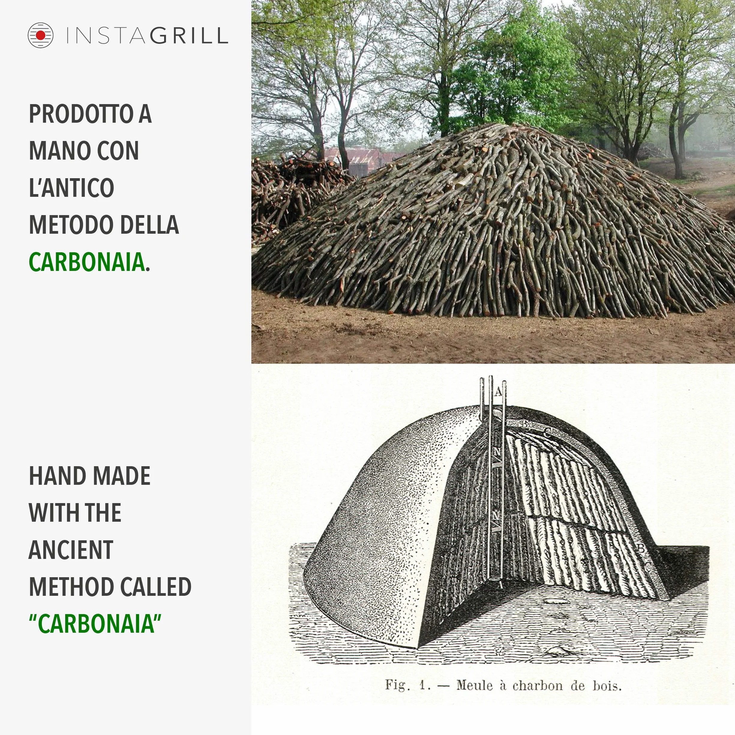 Classe Italy Scatola 10Kg Biologico Vegetale di Legna di Faggio e Leccio Italiano 10 kg | Carbonella/Carbone, Grill, Grigliata InstaGrill o Barbecue da Tavolo Senza Fumo, Nero