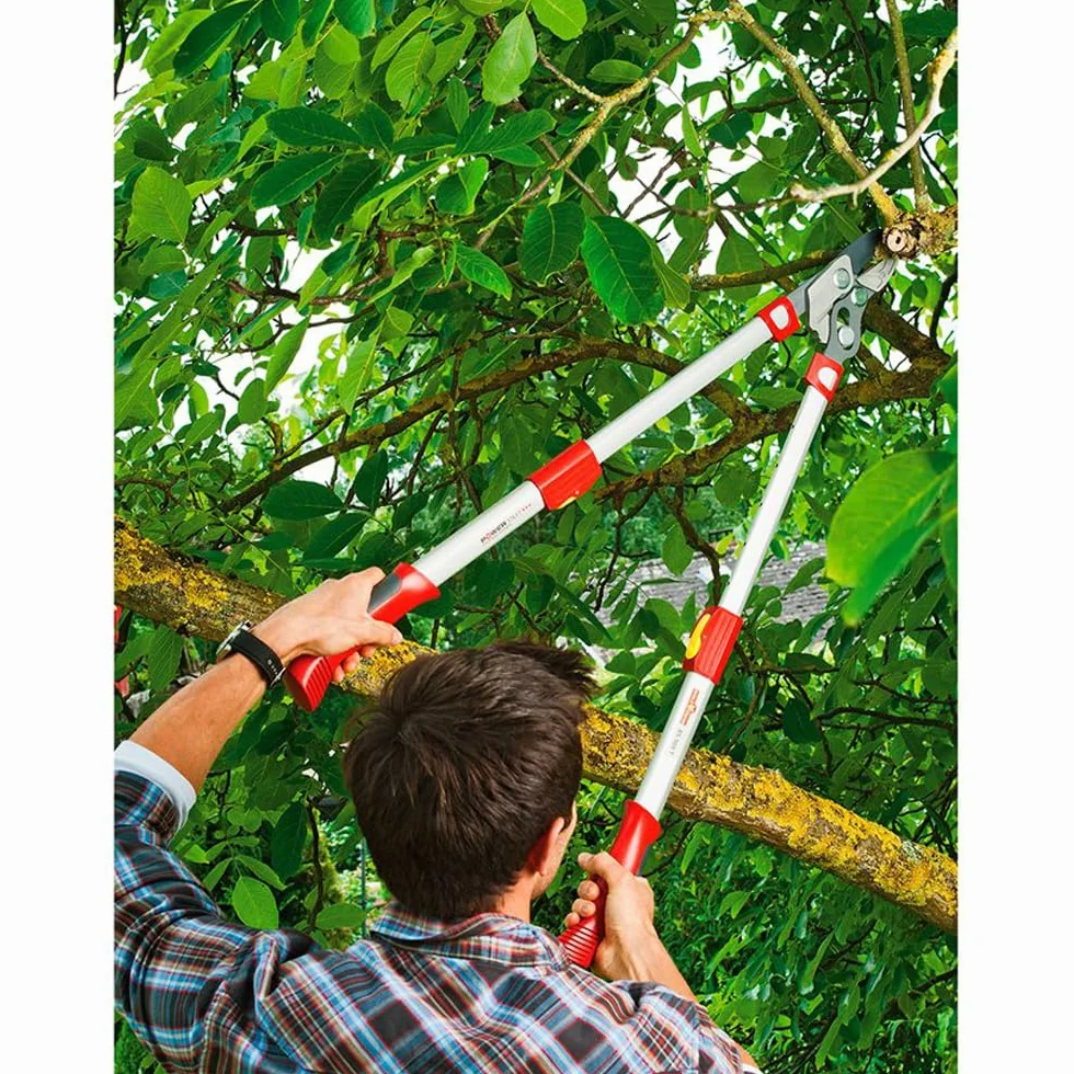 Wolf-Garten Power Cut RS 900 T Troncarami a Battente Premium Plus, Rosso/Argento
