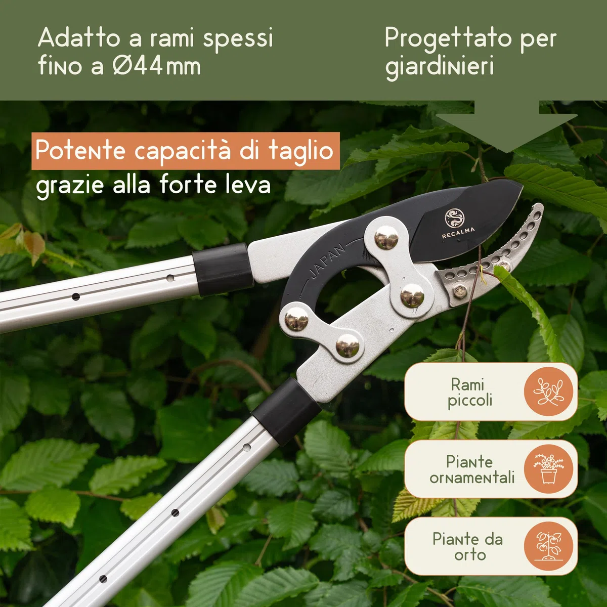 Troncami telescopici acciaio temprato taglia rami 44 mm cesoie regolabili testa di squalo