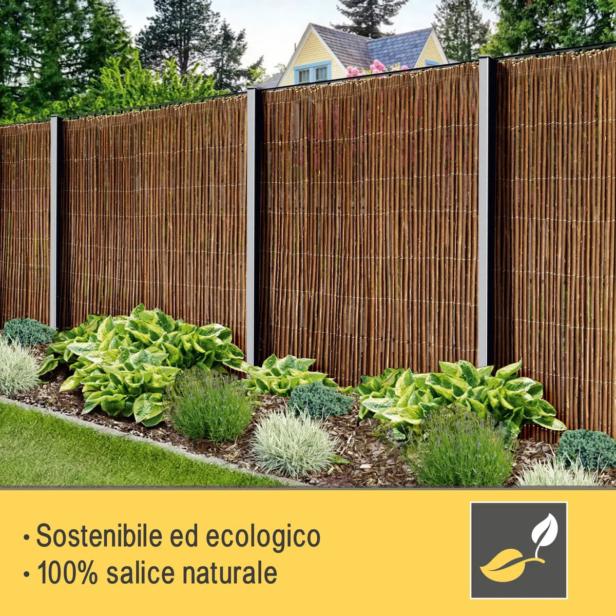 Sol Royal Arella Vimini Frangivista Frangivento SolVision W79 Pannello Recinzione 500x200 cm