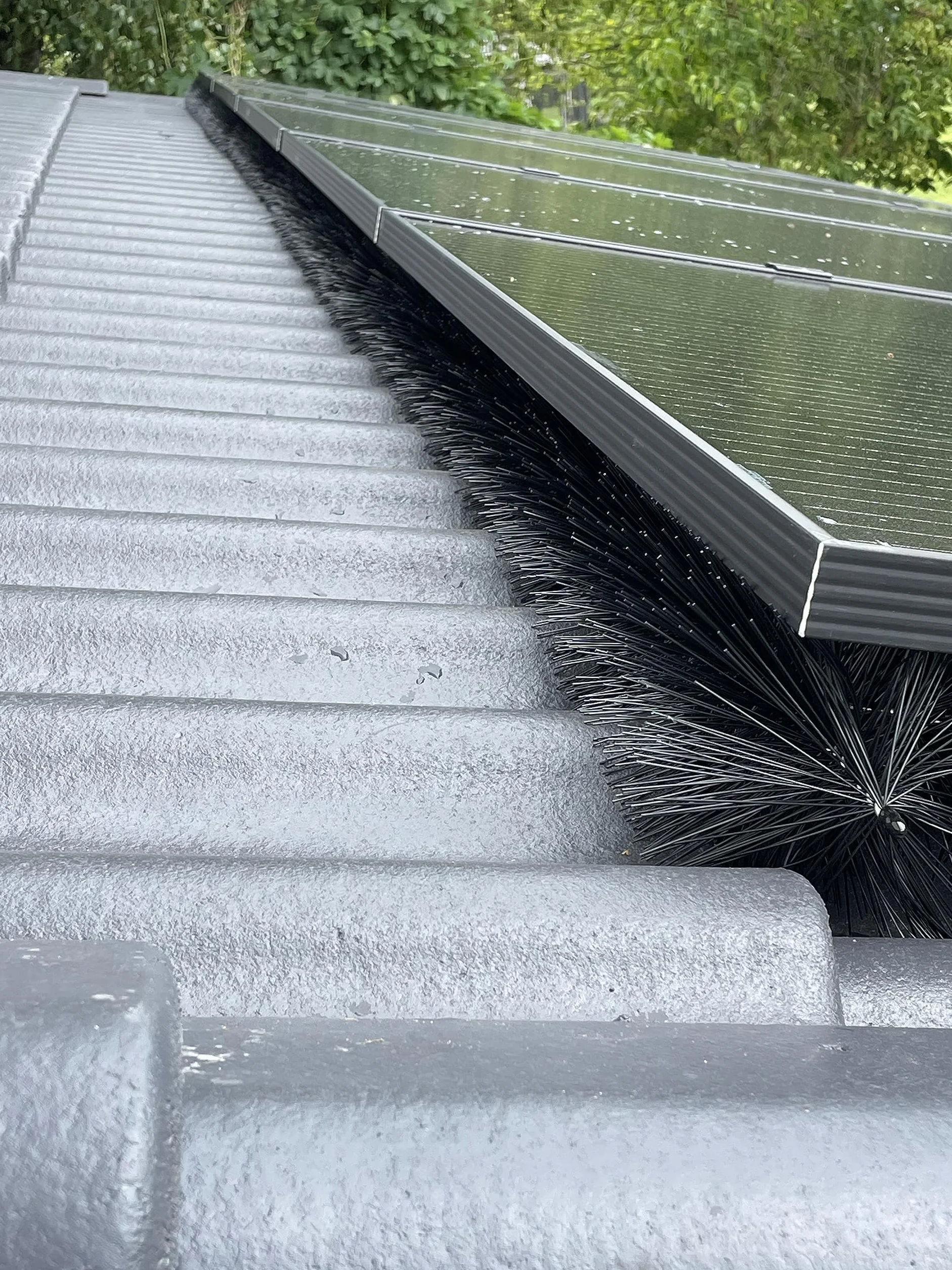 Spazzola per Grondaia 42m Ø 12 cm| Protezione Foglie e Rami | Difesa Animali e Uccelli | Installazione Facile | Adatta per Grondaie Semicircolari, Nero, Ciniglia