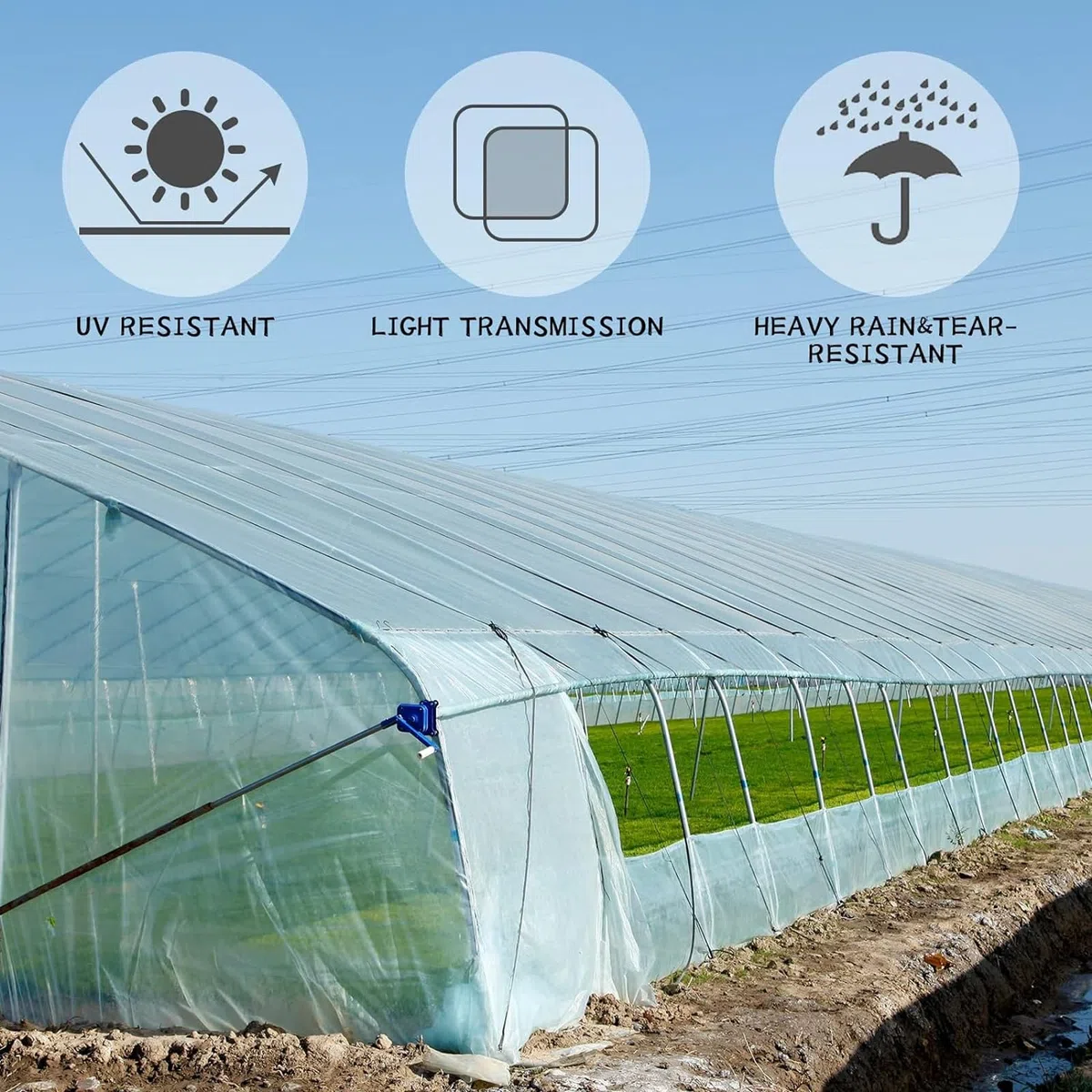 DAZZTIME 3 x 10M Telo Serra Trasparente,Telo Protettivo per Serra,Telo Antigelo per Piante,Pellicola Spessore 100 Micron,Contro Raggi UV per progetti Industriali, Residenziali Agricoli