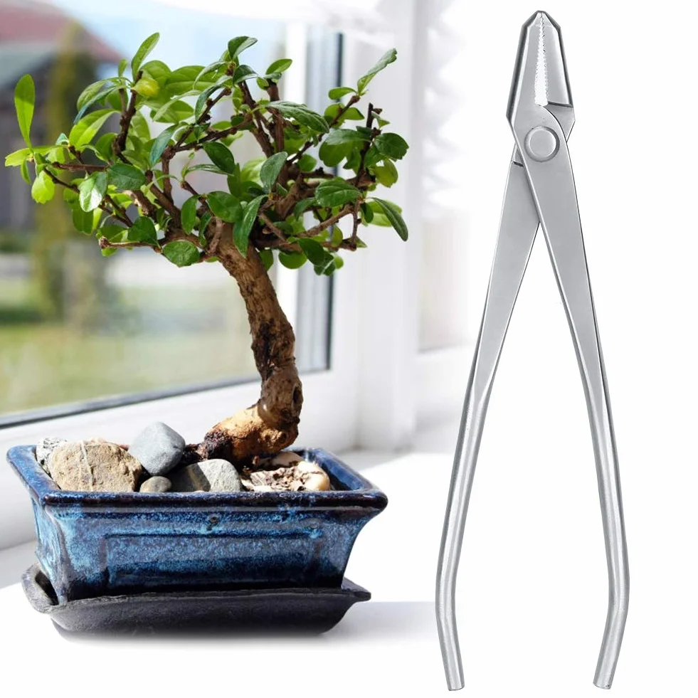 Pomello per bonsai in acciaio inox pinza piegafilo per bonsai per la cura del giardino pinza piegafilo per bonsai strumento di modellazione per bonsai pinze per Cutters pour Bonsaï