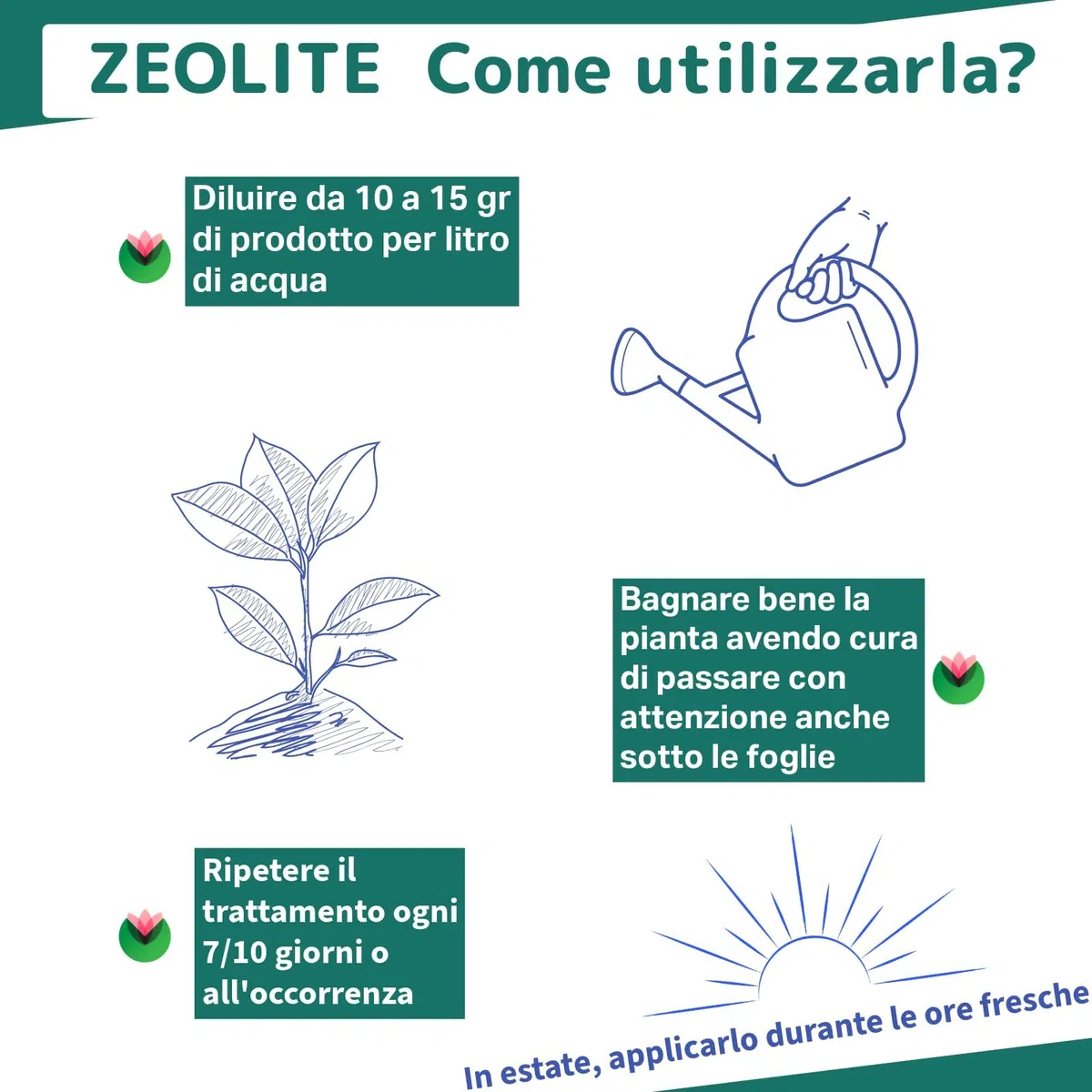 Fitokem Zeo Zeolite per Piante 6kg Polvere di Roccia per Agricoltura
